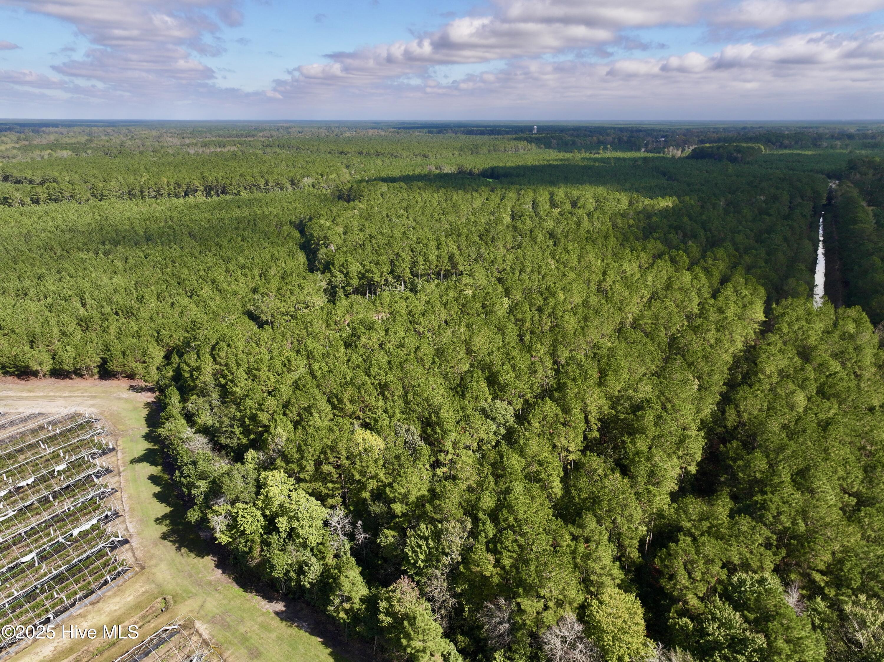 0 Atkinson Cemetery Road Atkinson, NC 28421 - Photo 49 of 73 21