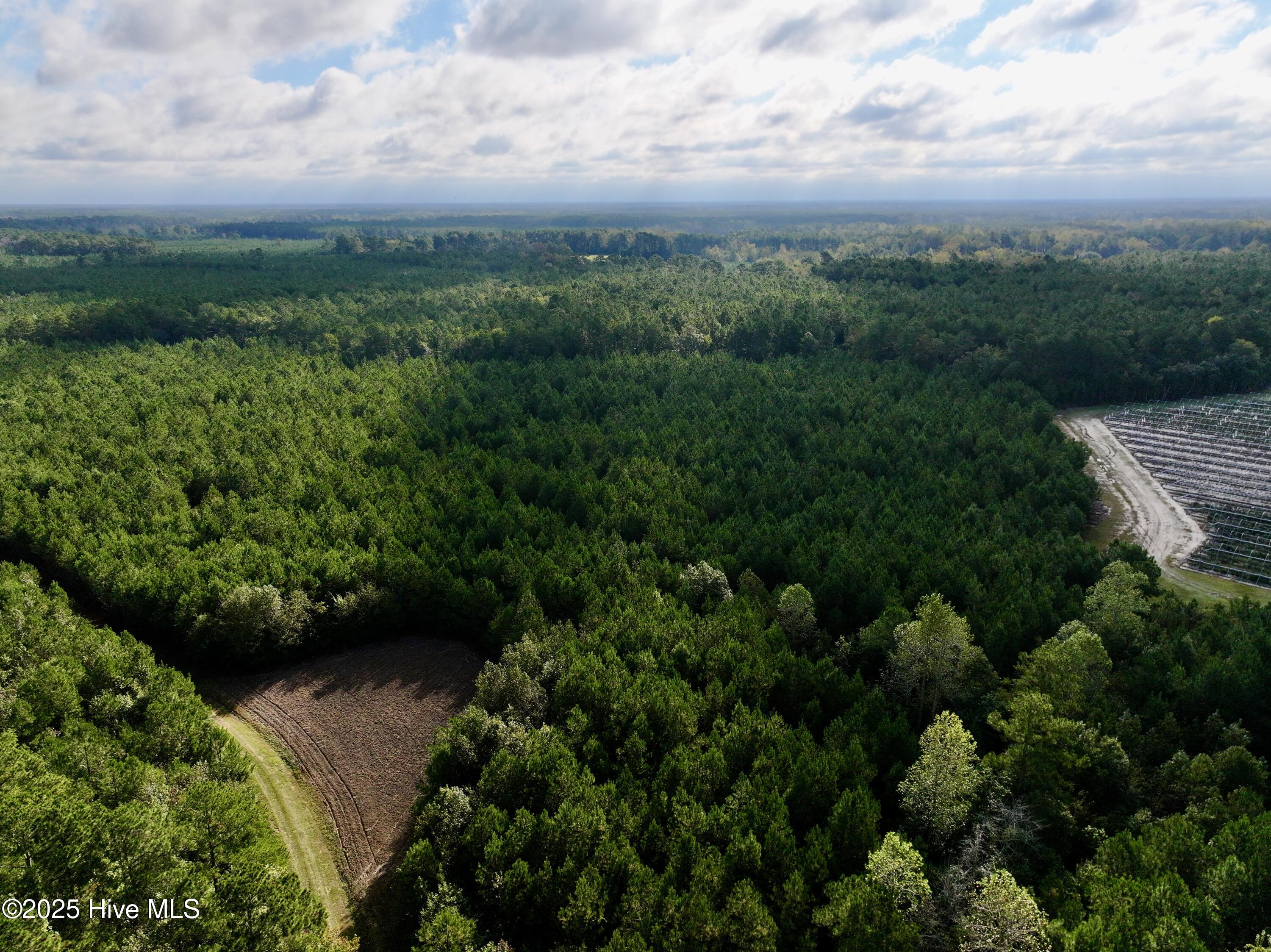 0 Atkinson Cemetery Road Atkinson, NC 28421 - Photo 5 of 73 4