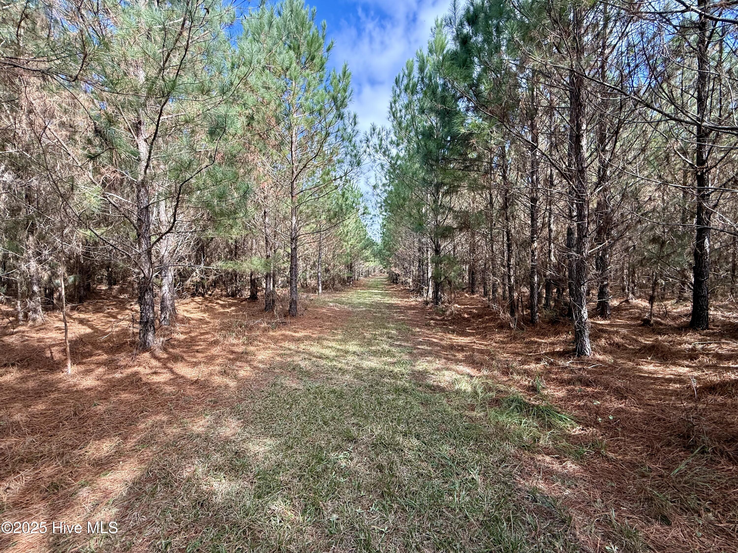 0 Atkinson Cemetery Road Atkinson, NC 28421 - Photo 52 of 73 22b