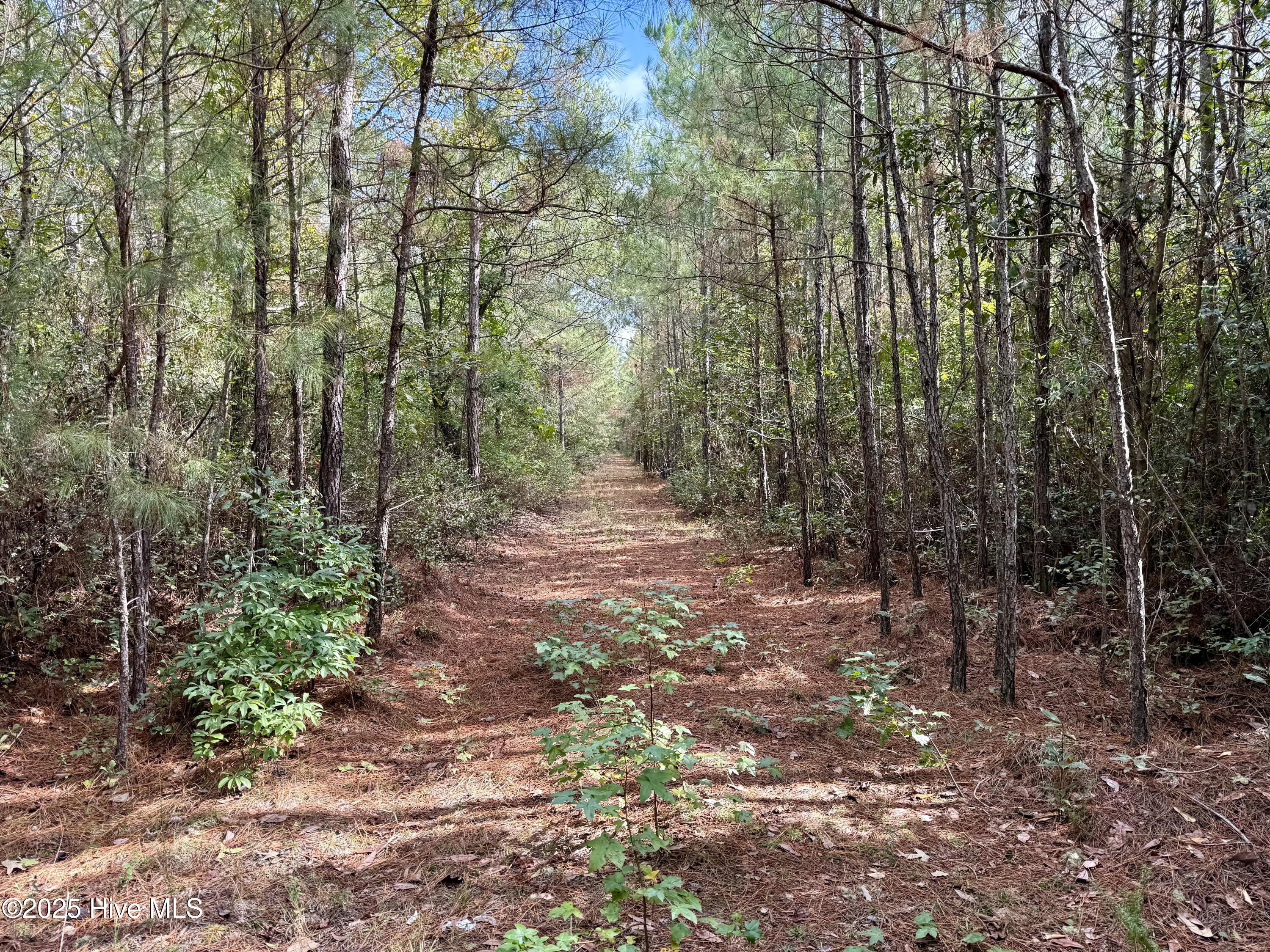 0 Atkinson Cemetery Road Atkinson, NC 28421 - Photo 54 of 73 22d