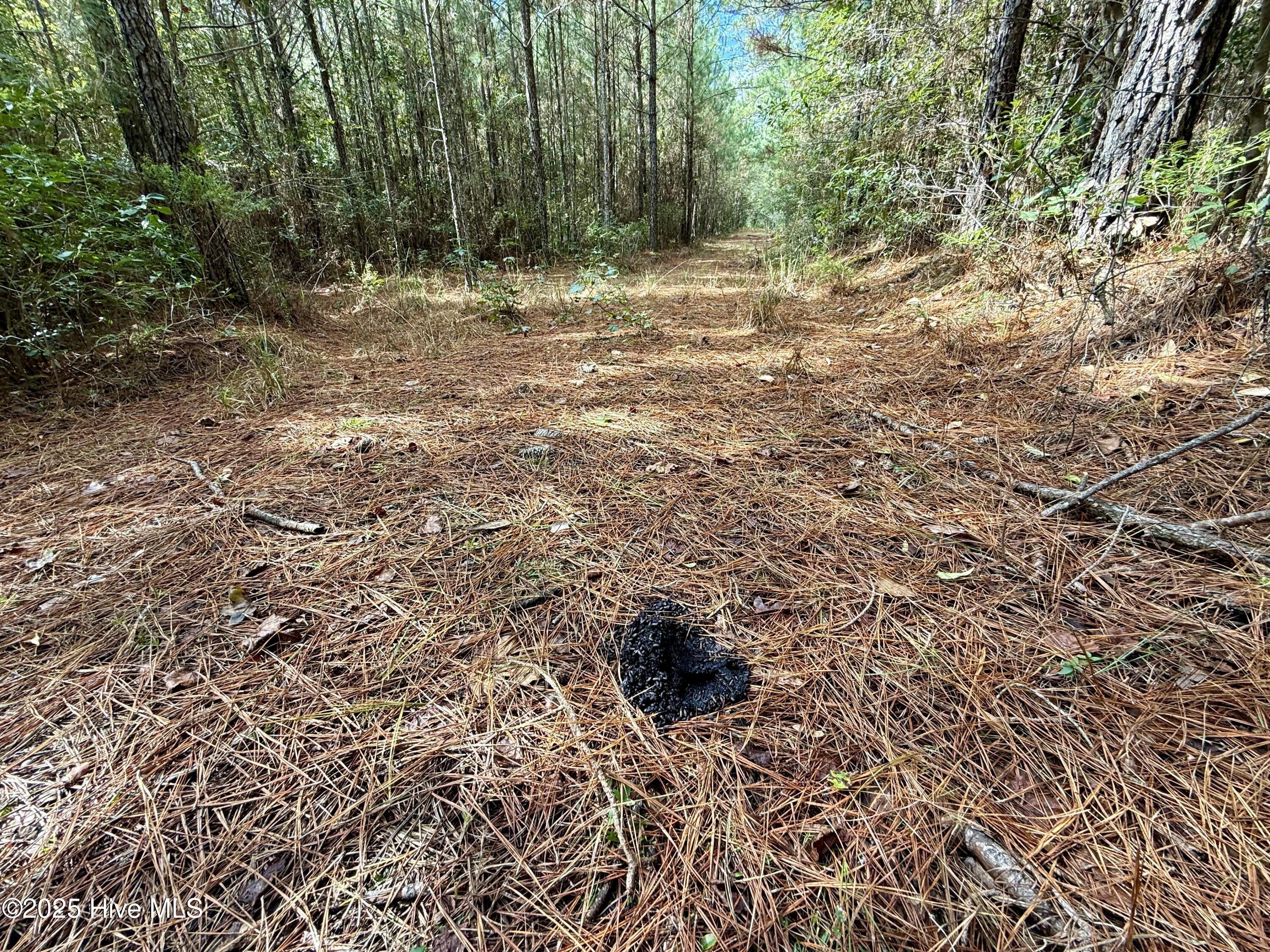 0 Atkinson Cemetery Road Atkinson, NC 28421 - Photo 56 of 73 22f