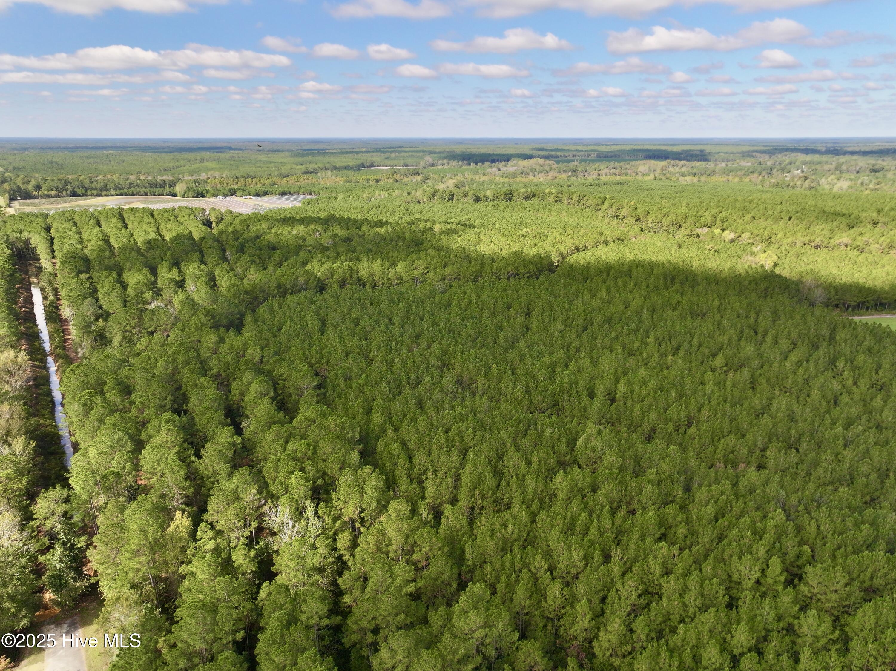 0 Atkinson Cemetery Road Atkinson, NC 28421 - Photo 58 of 73 23
