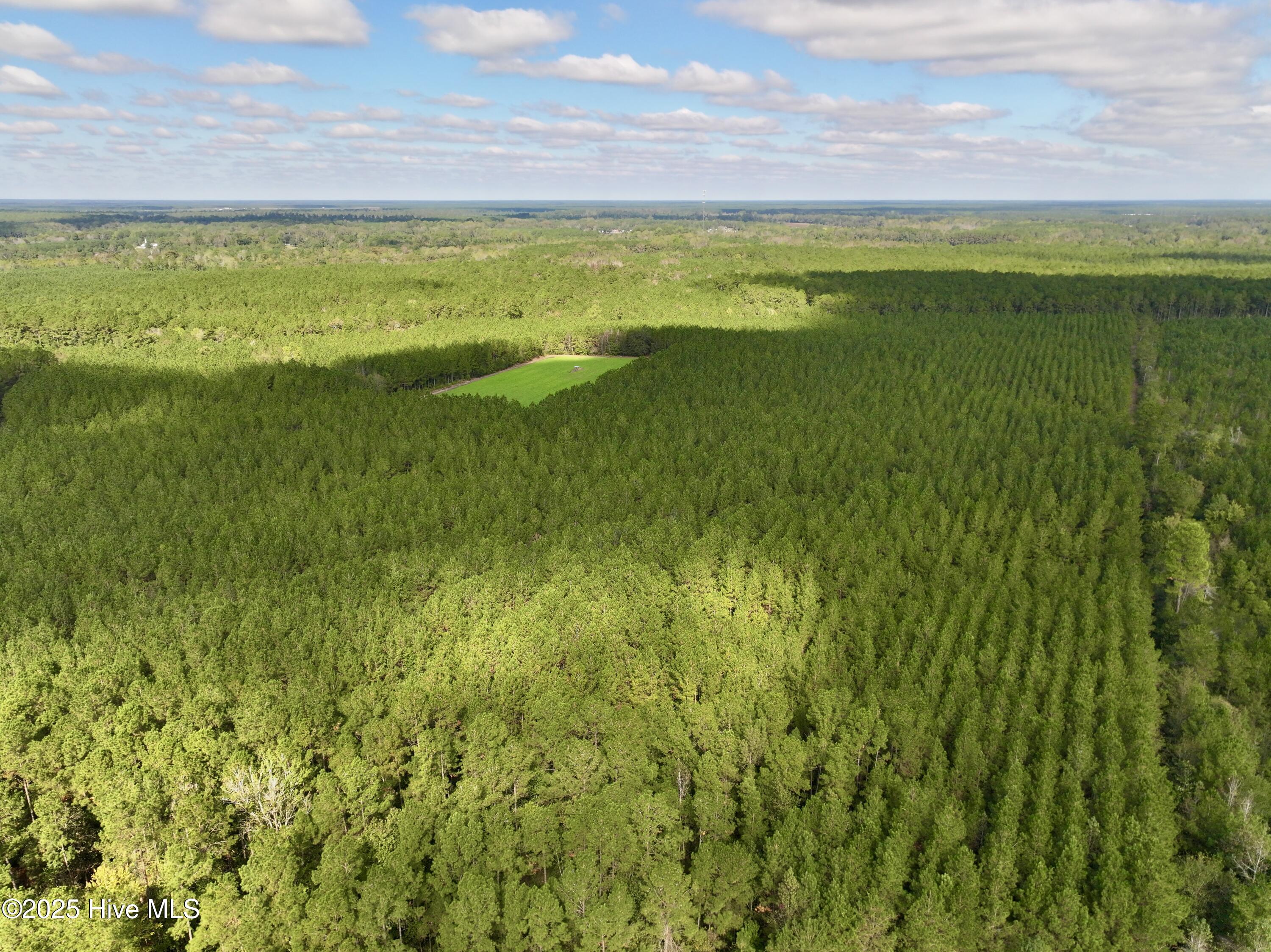 0 Atkinson Cemetery Road Atkinson, NC 28421 - Photo 59 of 73 24