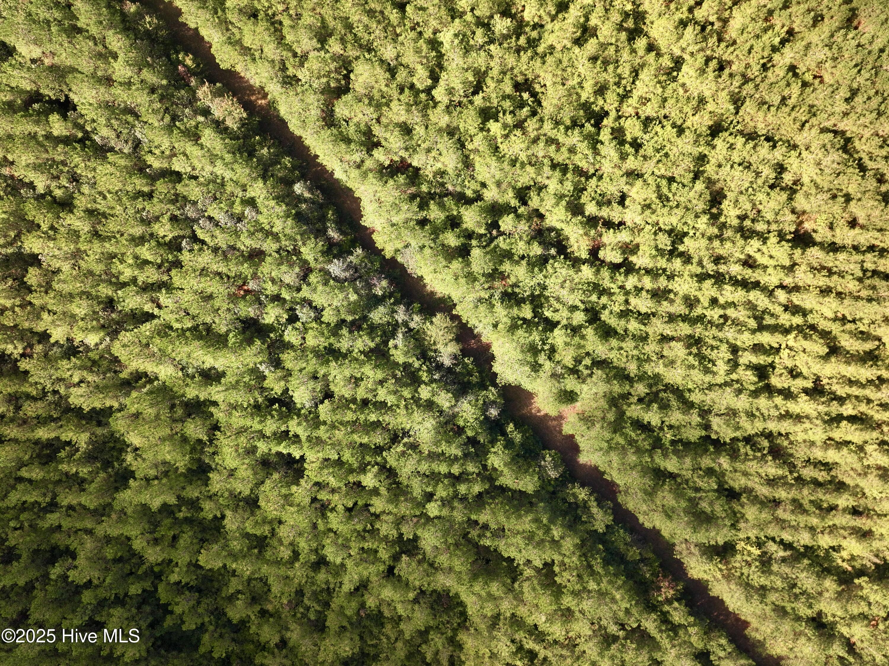 0 Atkinson Cemetery Road Atkinson, NC 28421 - Photo 60 of 73 25