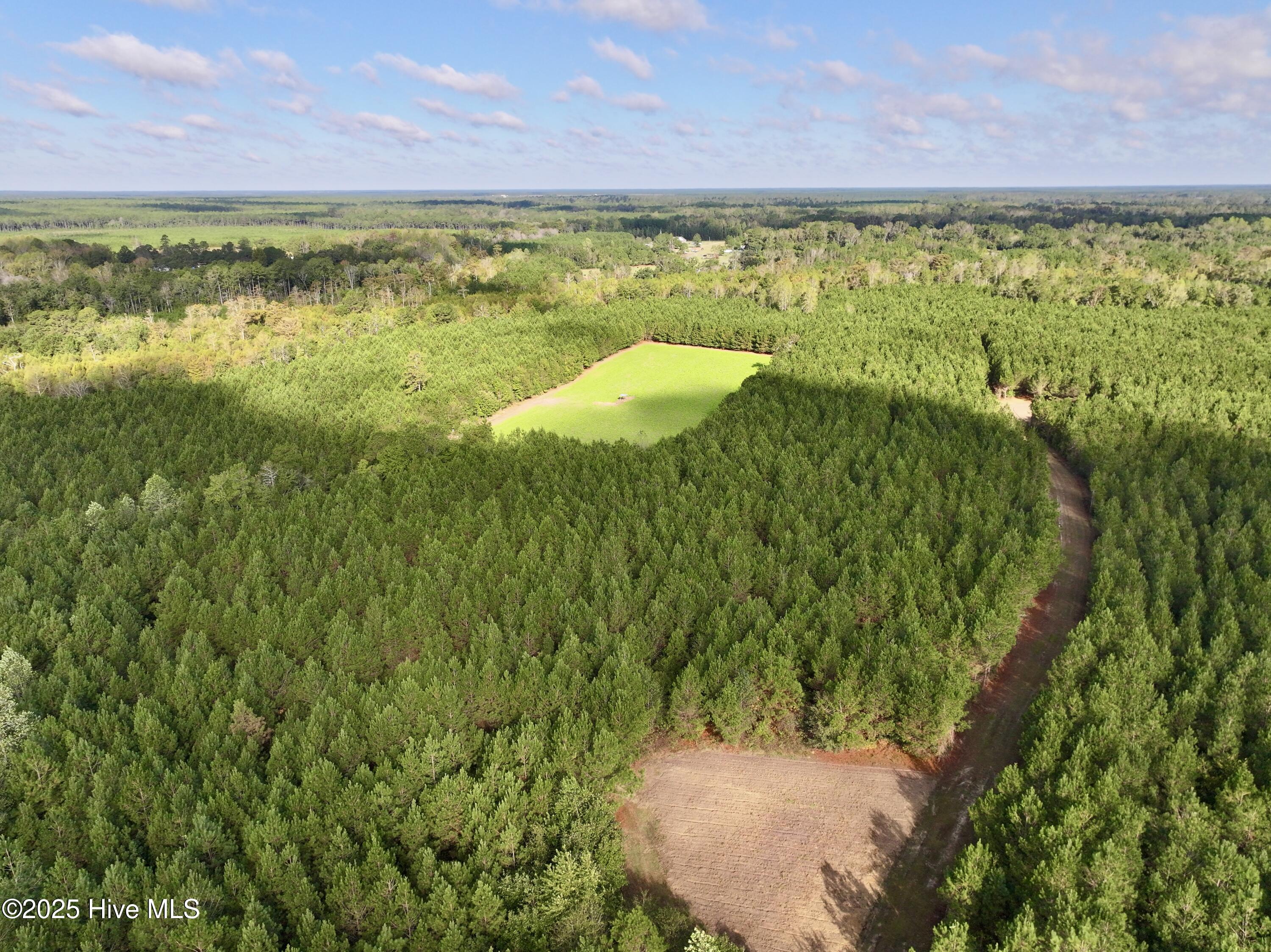 0 Atkinson Cemetery Road Atkinson, NC 28421 - Photo 6 of 73 5