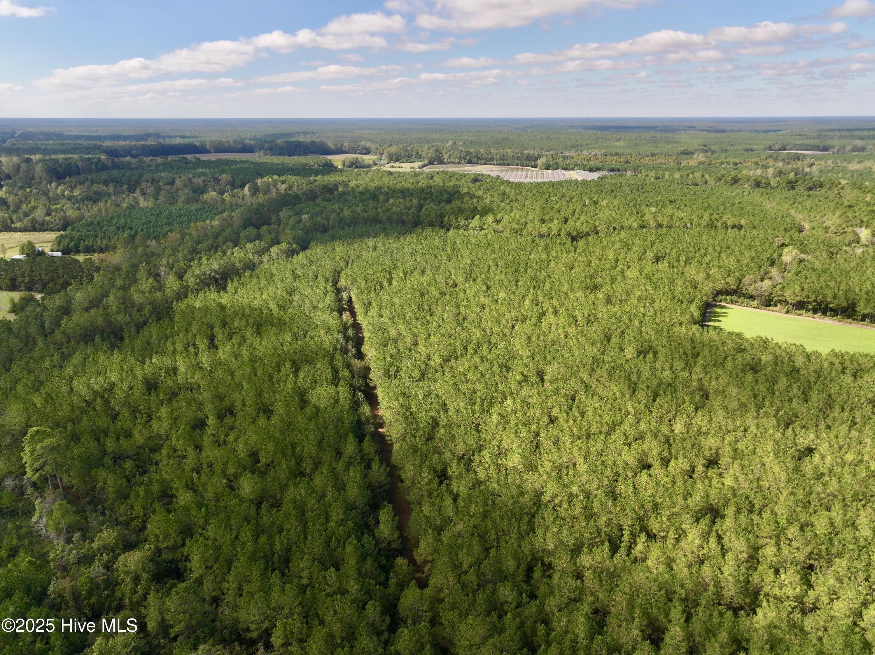 0 Atkinson Cemetery Road Atkinson, NC 28421 - Photo 61 of 73 26