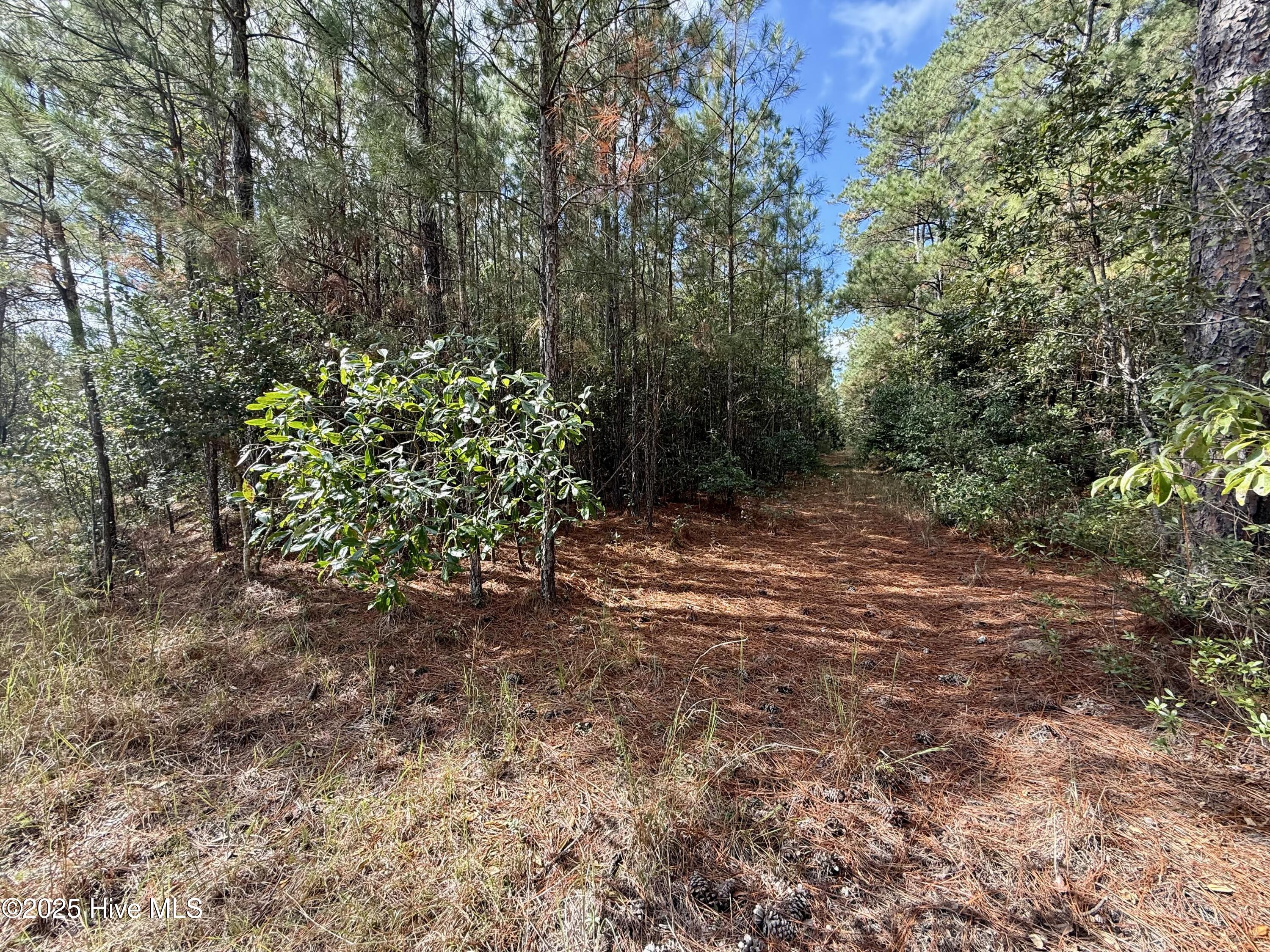 0 Atkinson Cemetery Road Atkinson, NC 28421 - Photo 62 of 73 26a