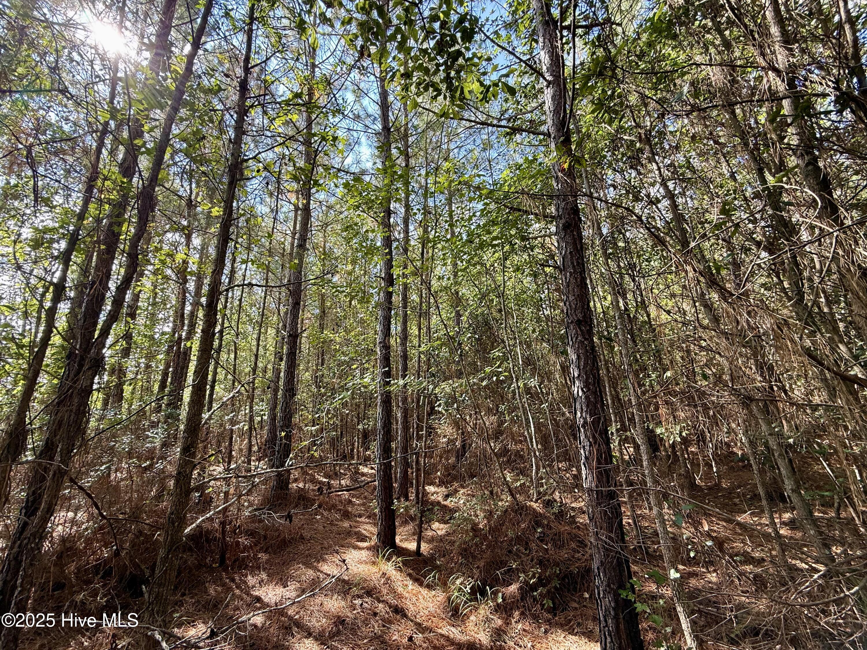 0 Atkinson Cemetery Road Atkinson, NC 28421 - Photo 63 of 73 26b
