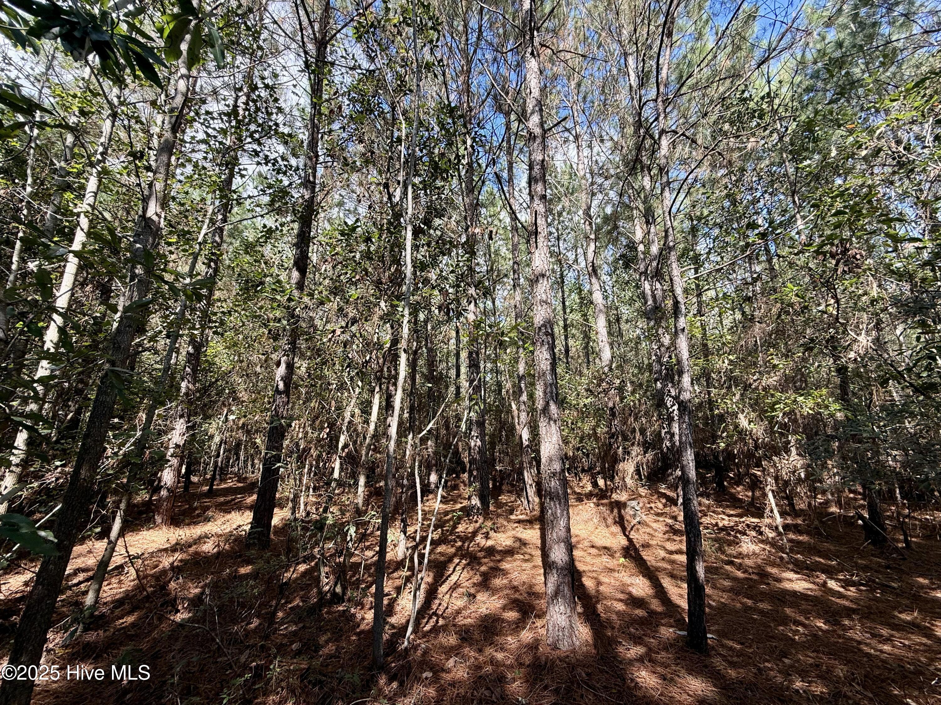 0 Atkinson Cemetery Road Atkinson, NC 28421 - Photo 64 of 73 26c