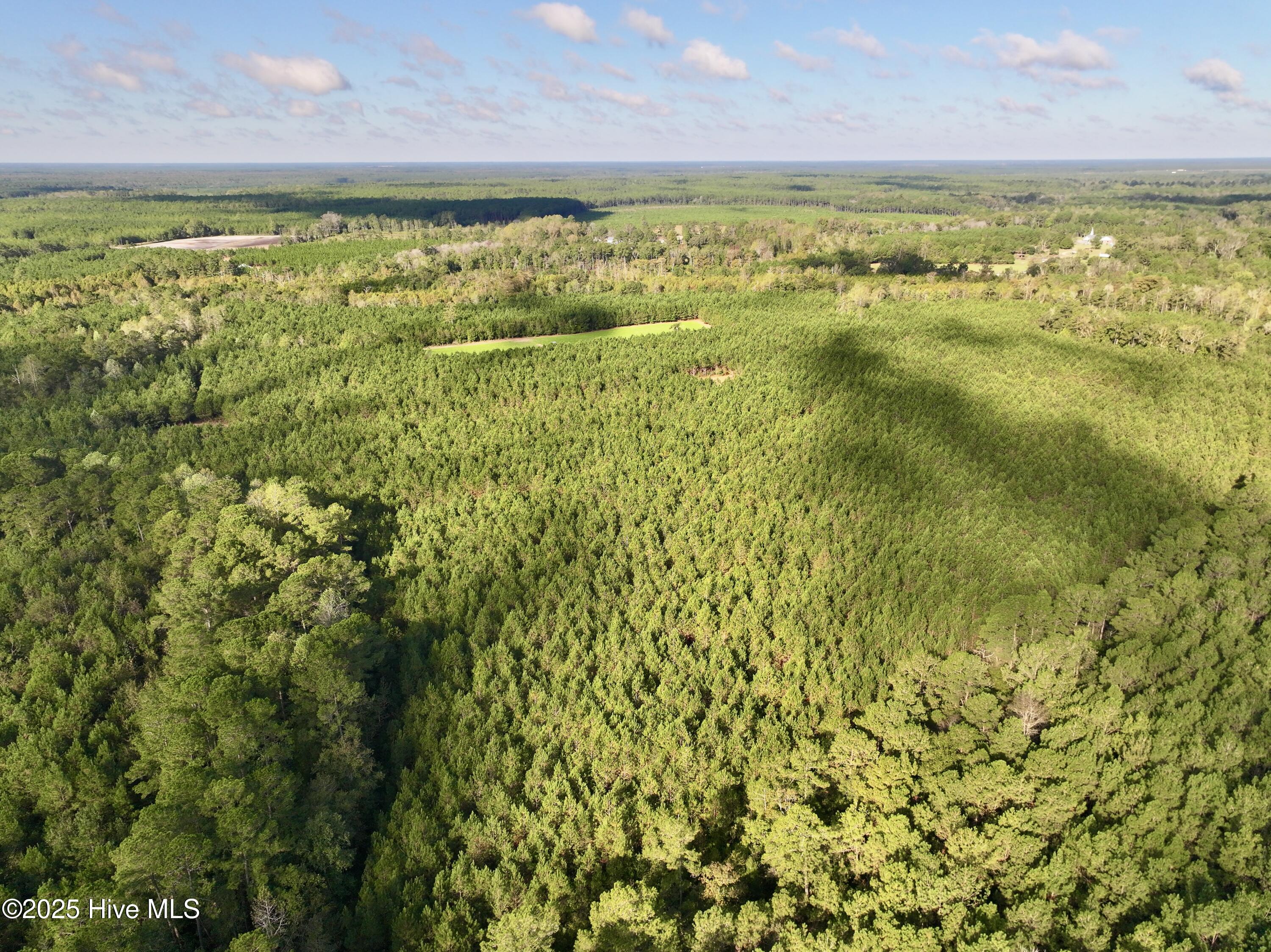0 Atkinson Cemetery Road Atkinson, NC 28421 - Photo 65 of 73 27