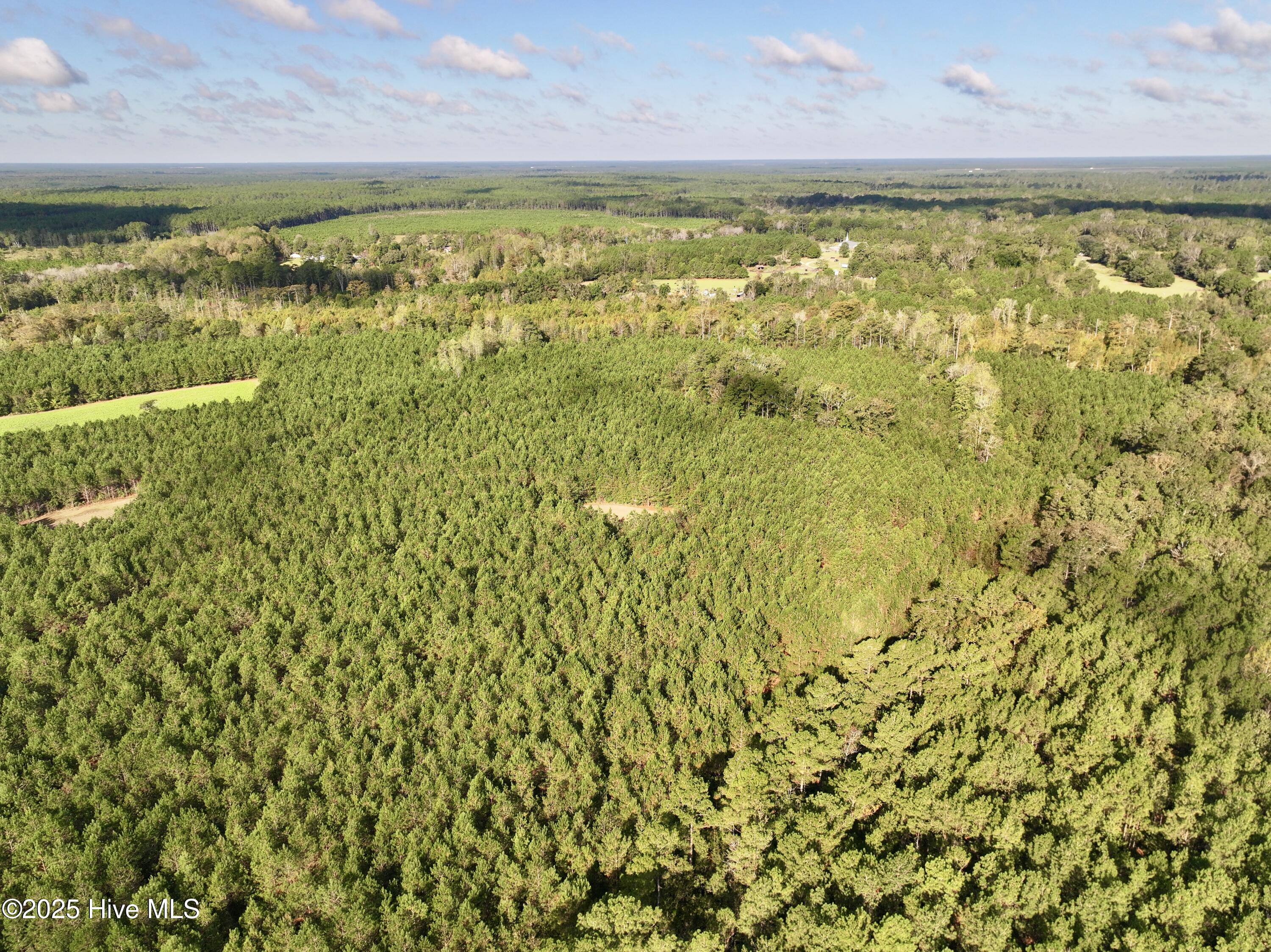0 Atkinson Cemetery Road Atkinson, NC 28421 - Photo 66 of 73 28