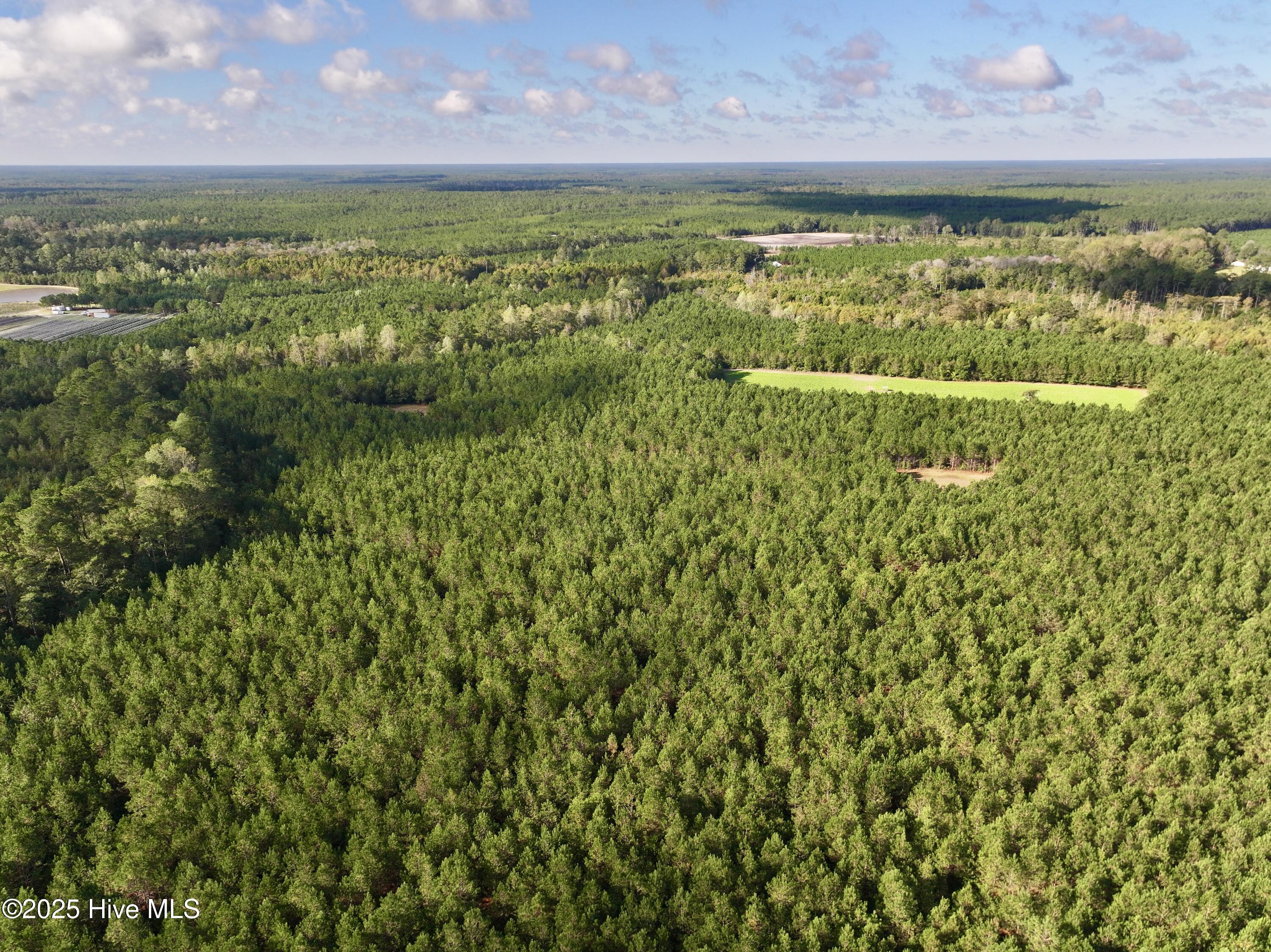 0 Atkinson Cemetery Road Atkinson, NC 28421 - Photo 67 of 73 29