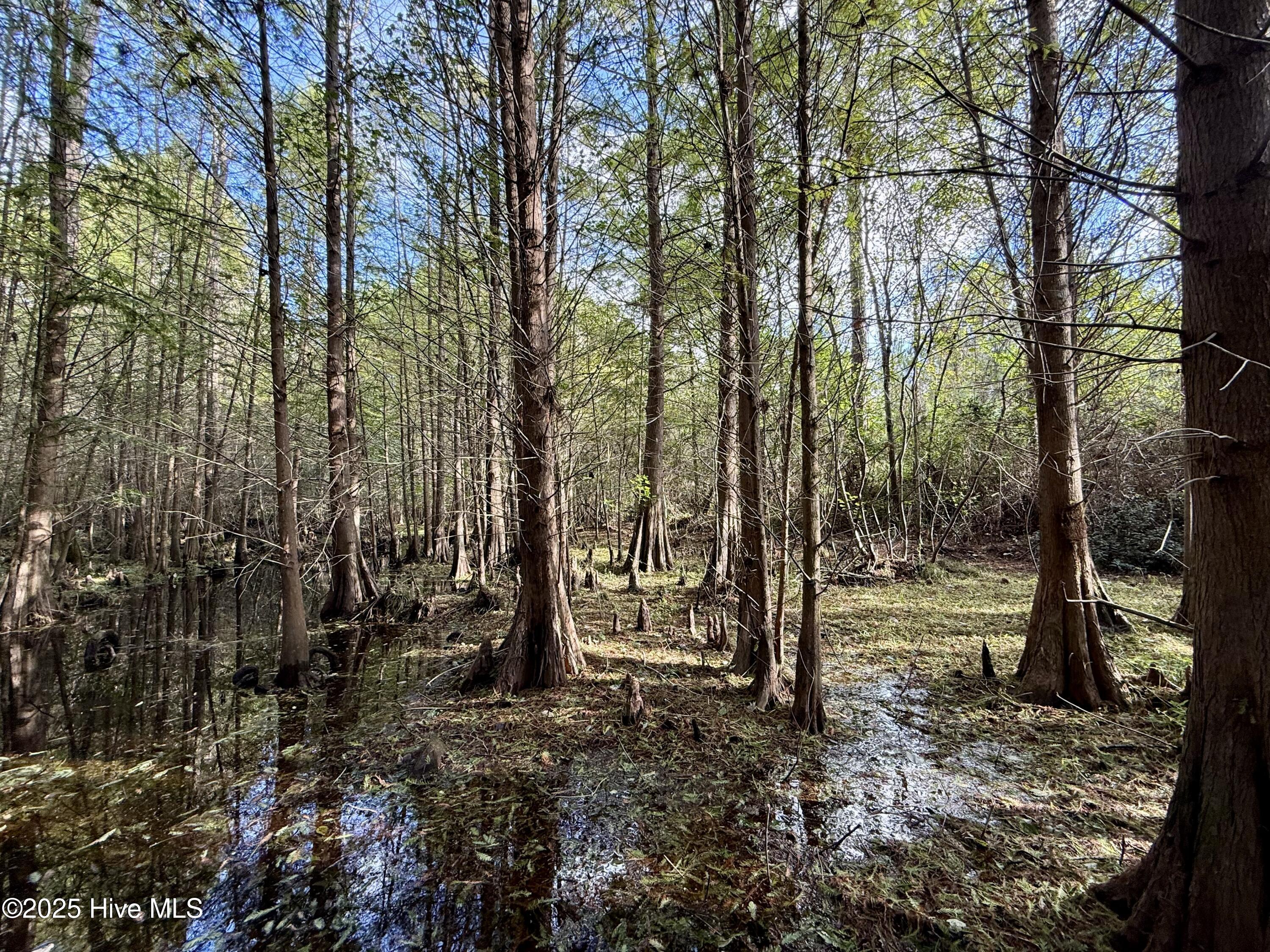 0 Atkinson Cemetery Road Atkinson, NC 28421 - Photo 69 of 73 29b