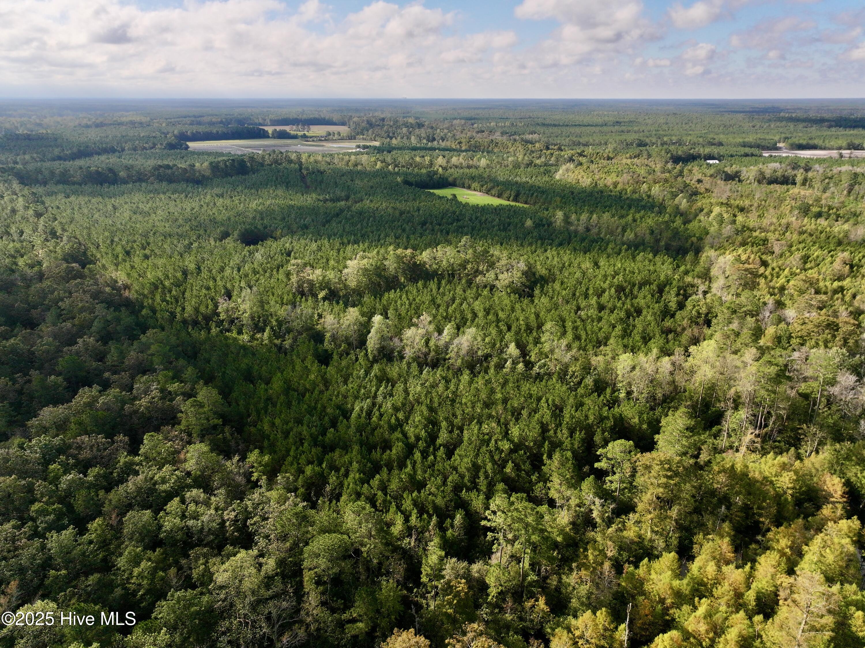 0 Atkinson Cemetery Road Atkinson, NC 28421 - Photo 70 of 73 30