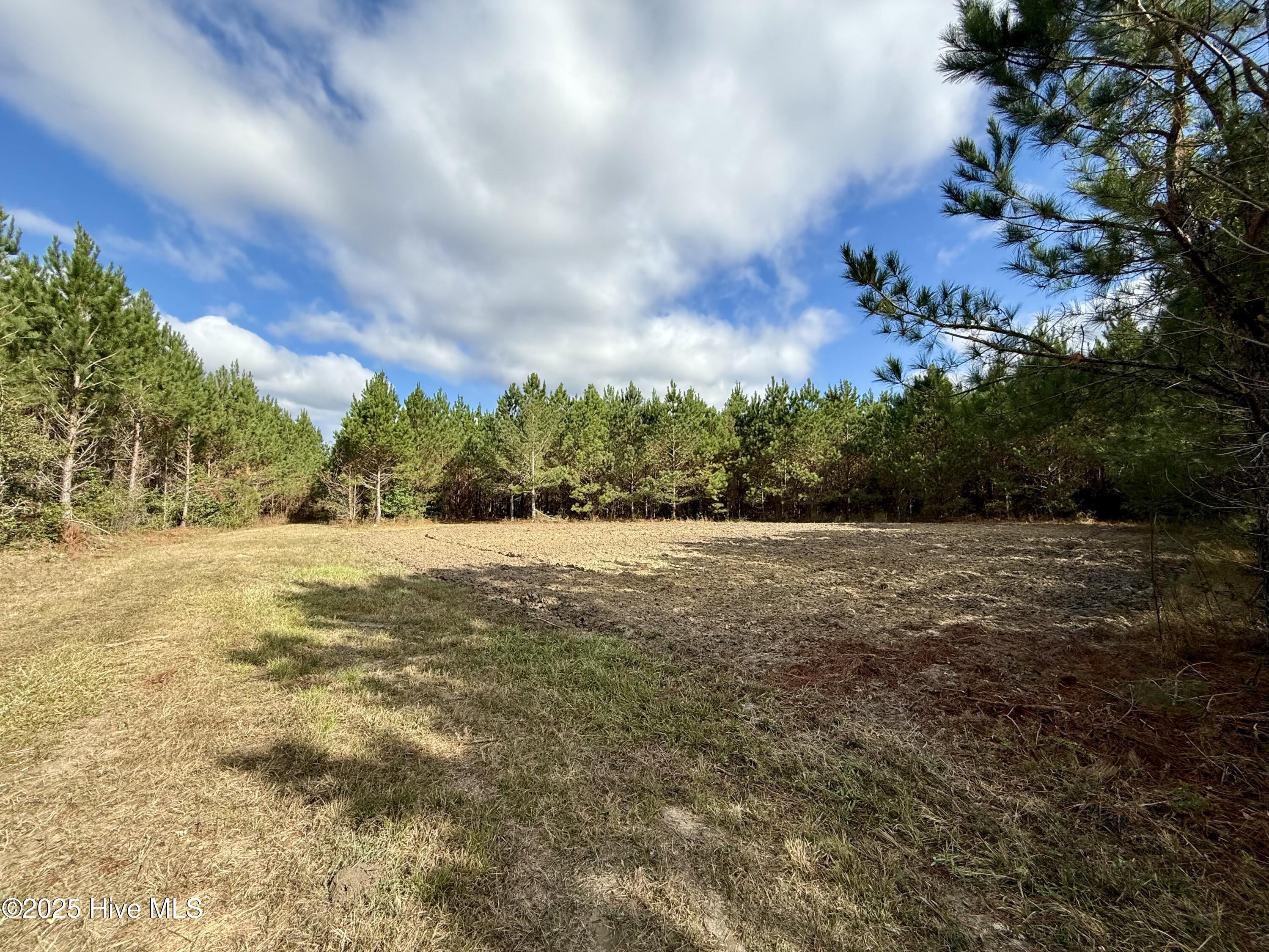 0 Atkinson Cemetery Road Atkinson, NC 28421 - Photo 7 of 73 5a
