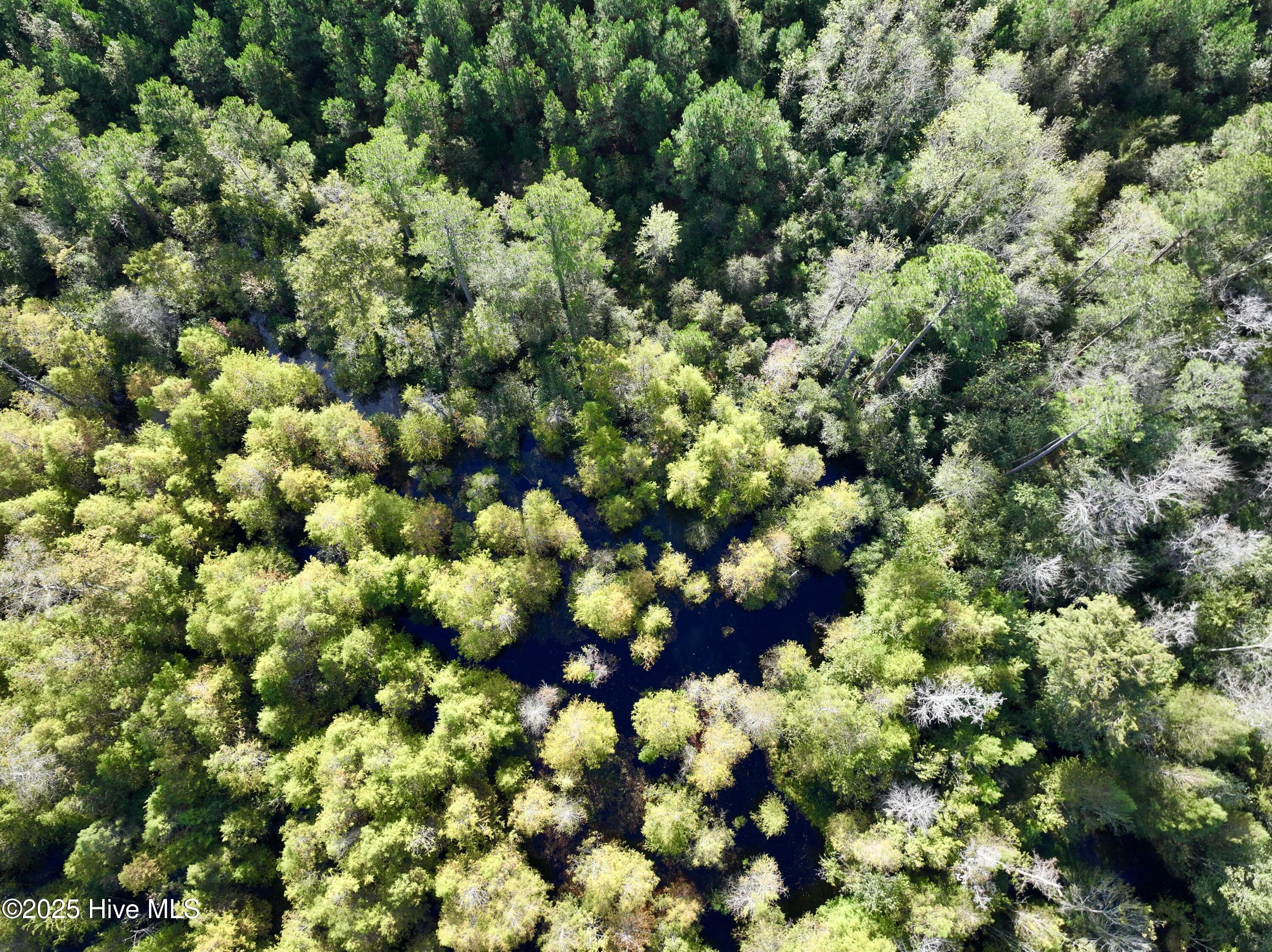 0 Atkinson Cemetery Road Atkinson, NC 28421 - Photo 71 of 73 31