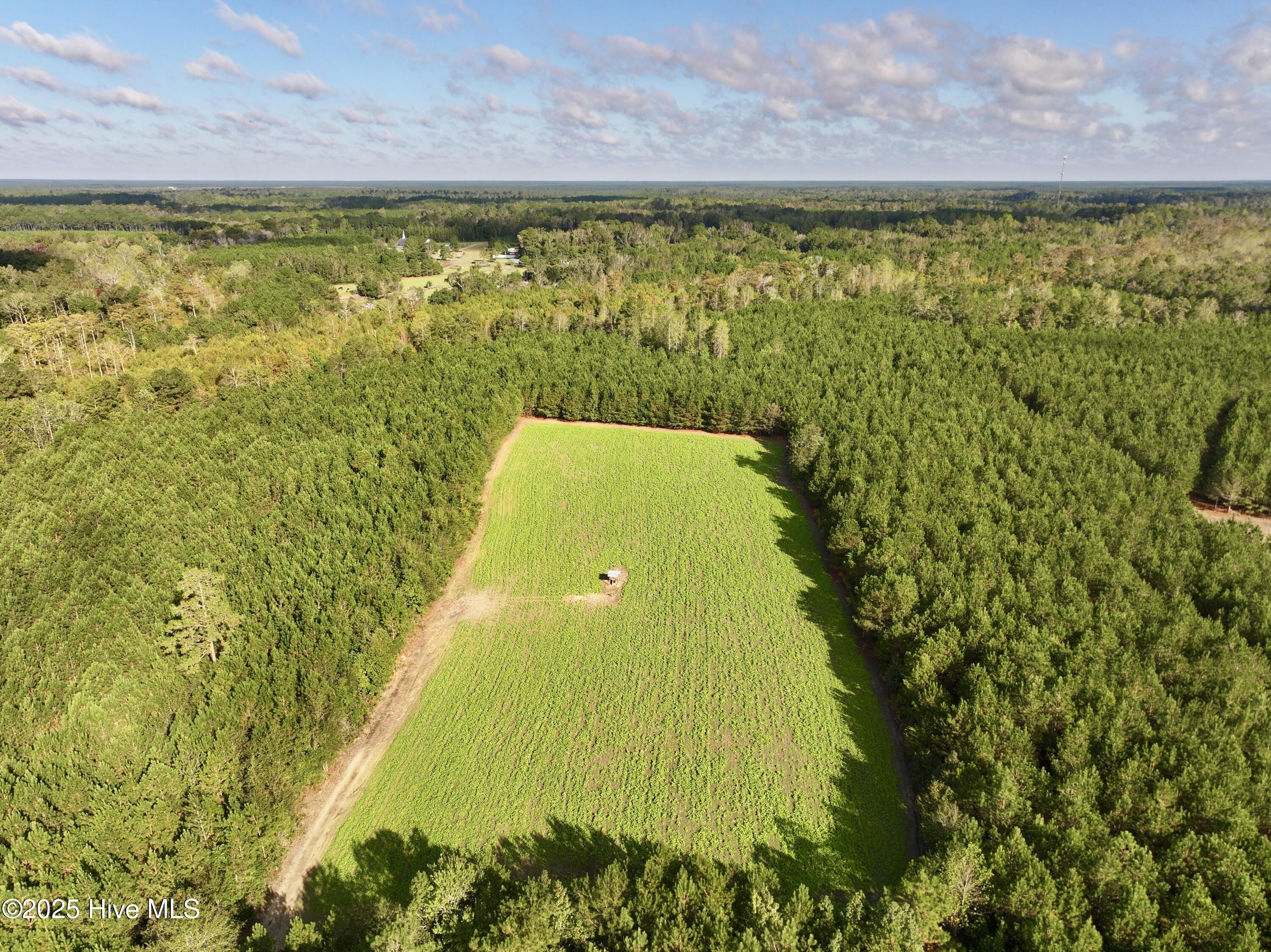 0 Atkinson Cemetery Road Atkinson, NC 28421 - Photo 8 of 73 6