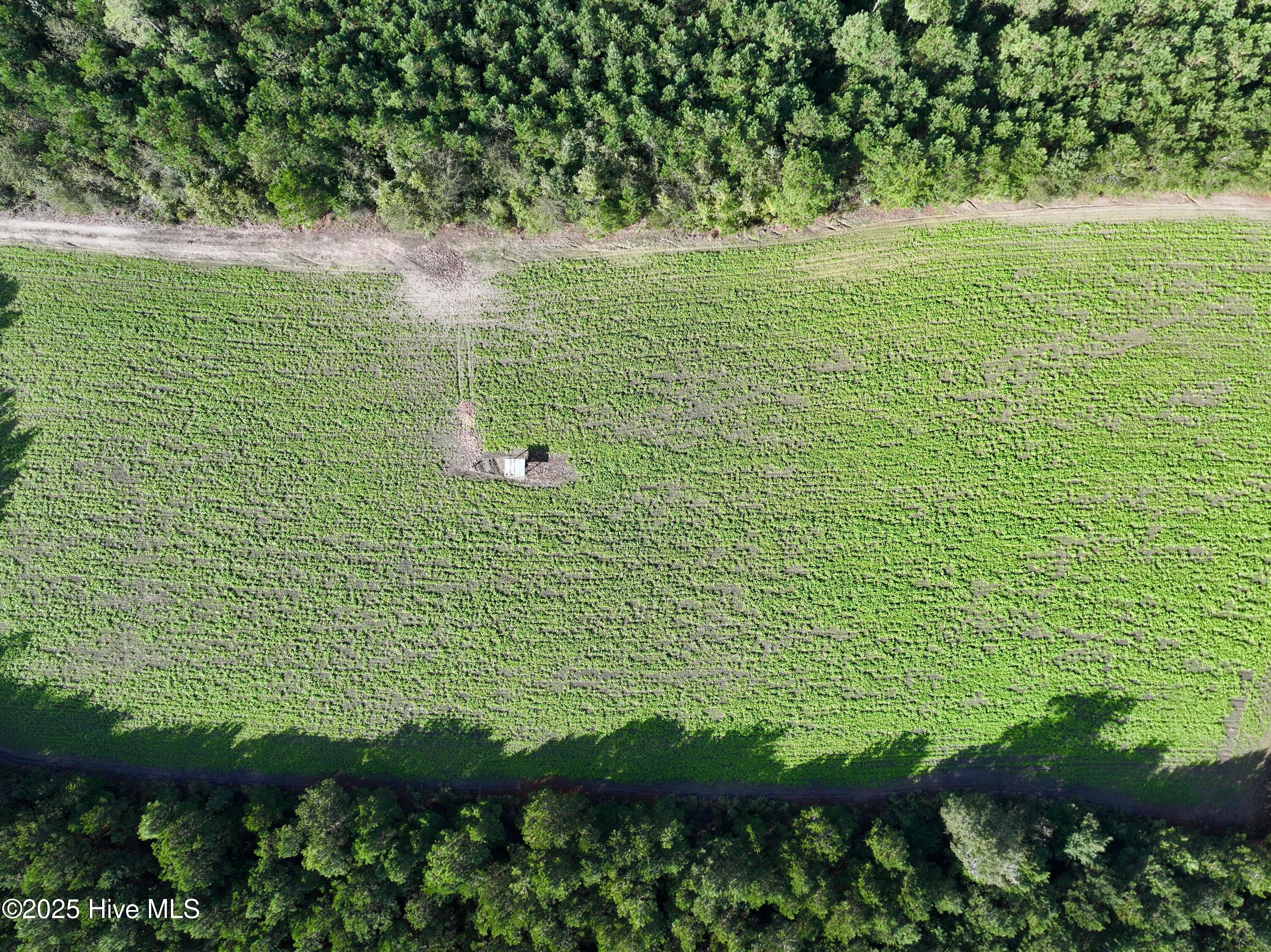 0 Atkinson Cemetery Road Atkinson, NC 28421 - Photo 9 of 73 7
