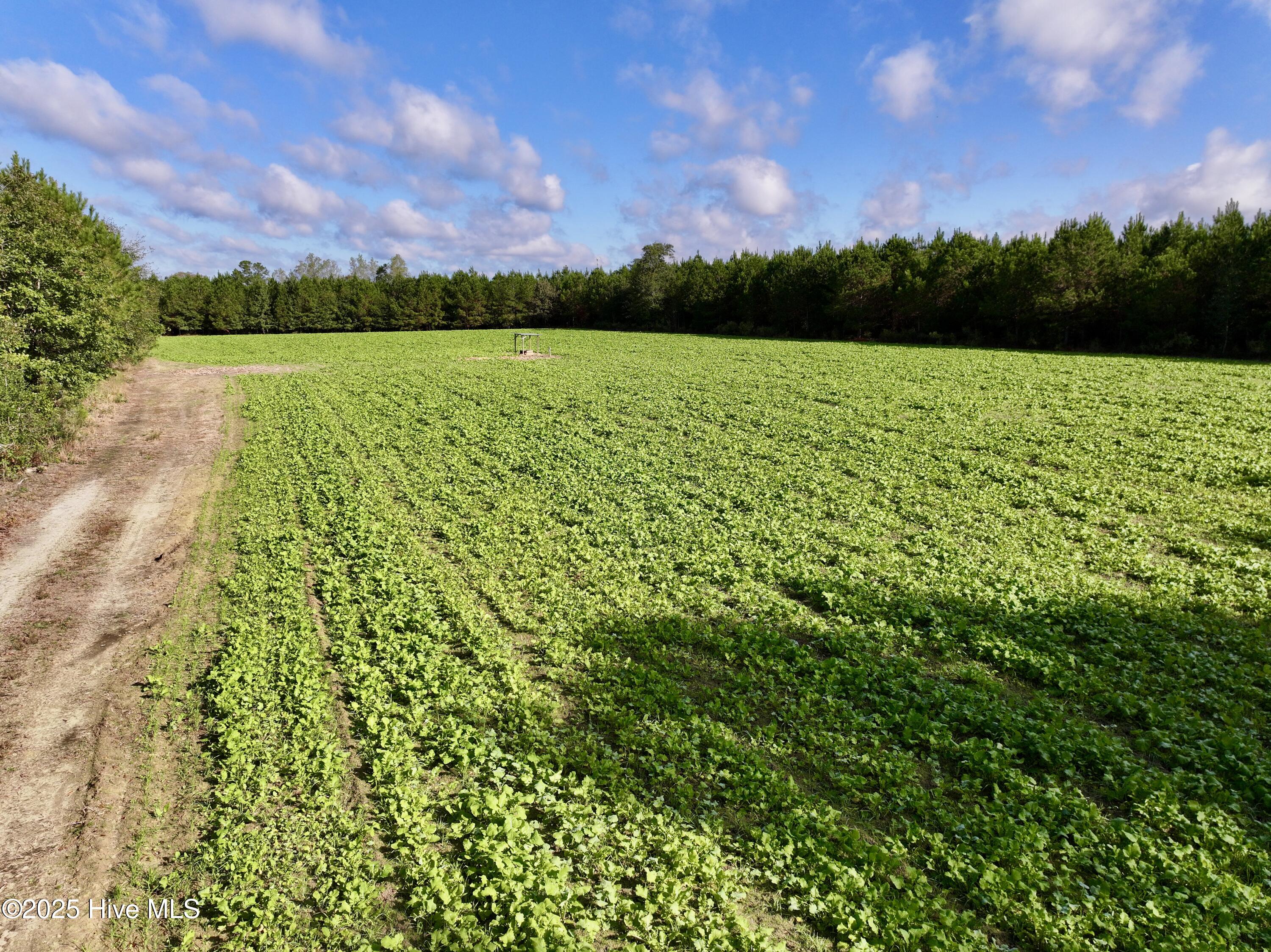0 Atkinson Cemetery Road Atkinson, NC 28421 - Photo 10 of 73 8