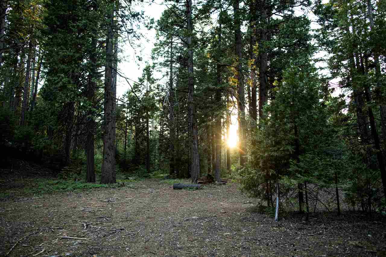 1012 Davis Place Road Mount Shasta, CA 96067 - Photo 13 of 26 Gallery Image 13