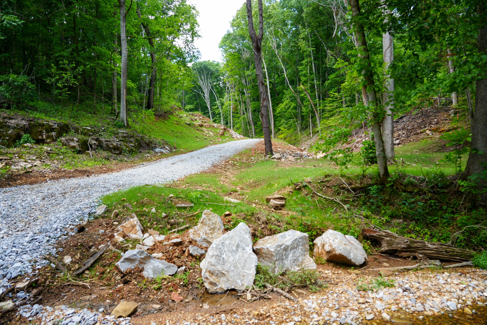 1 Budds Creek Road Palmyra, TN 37142 - Photo 23 of 76