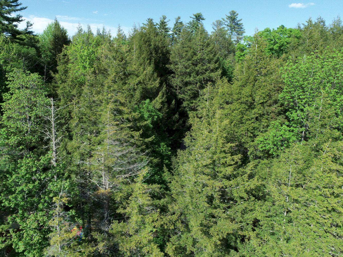 1336 East Shore Road Embden, ME 04958 - Photo 8 of 55 DJI_0009