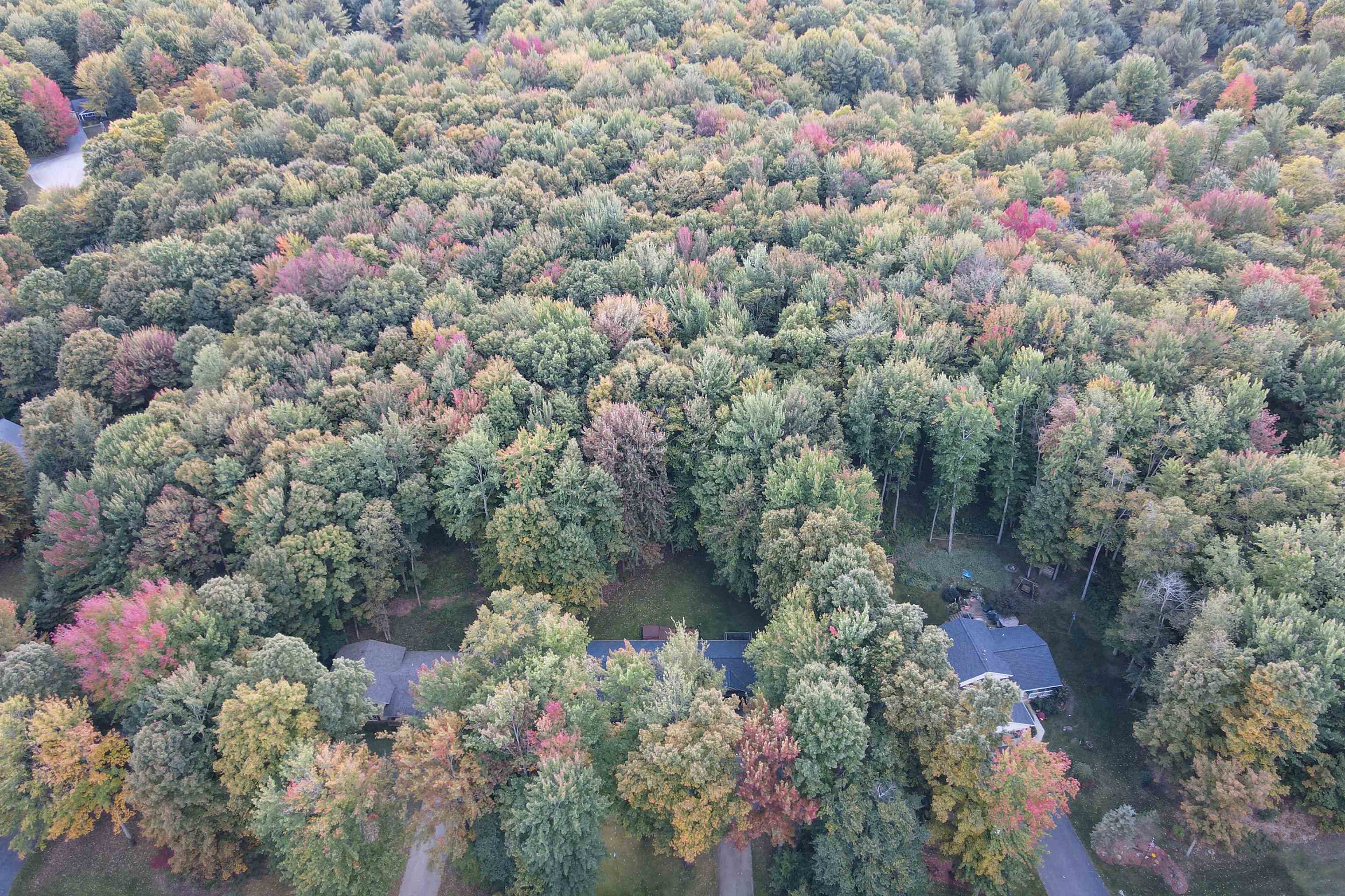 19199 Ridgeview Lane Lake Ann, MI 49650 - Photo 28 of 30 1951368-907e19a2-c8c4-4a13-8663-2dce0964cdc1.JPG