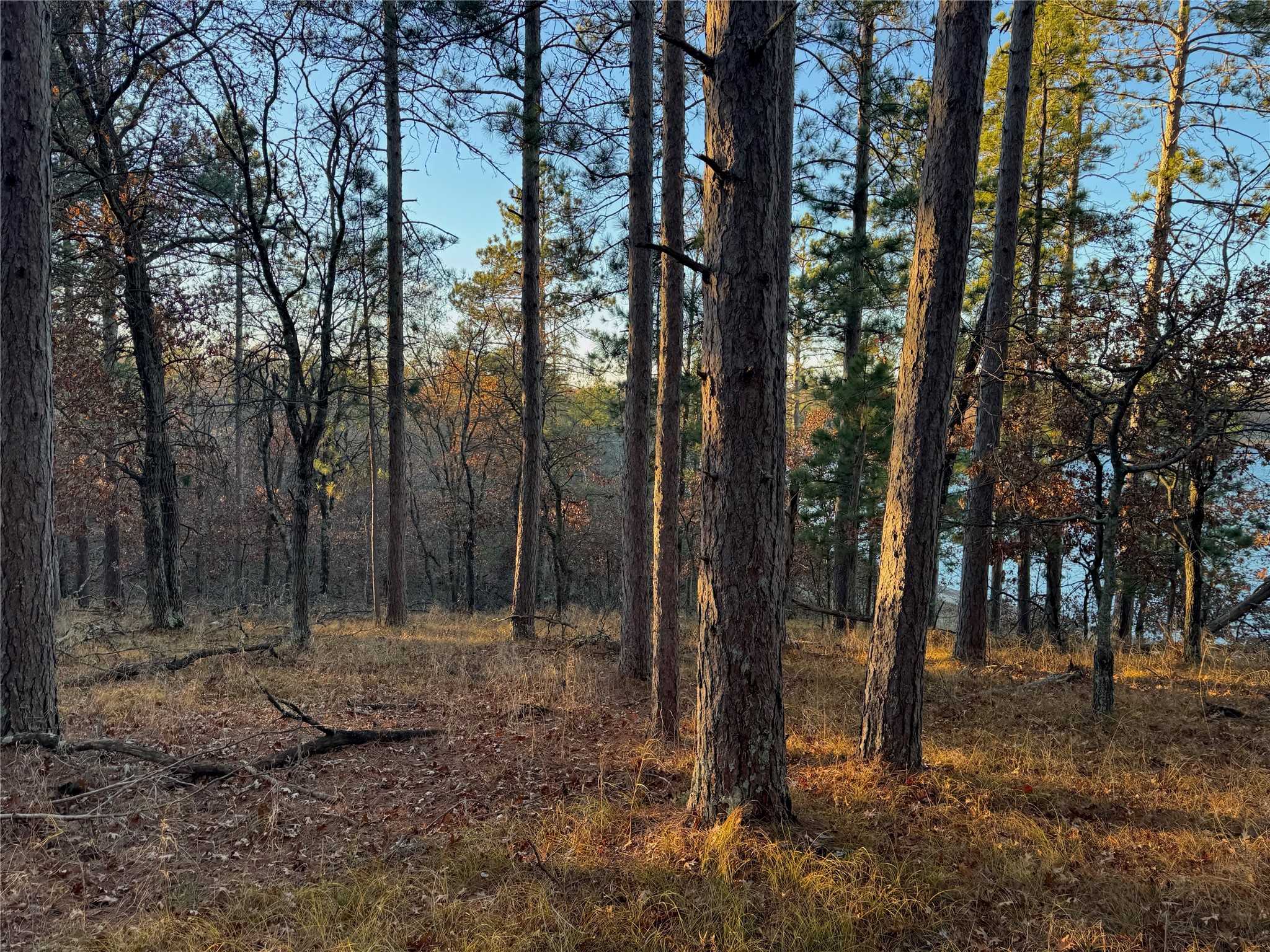 Lot 3 Big Sand Road Minong, WI 54859 - Photo 29 of 35
