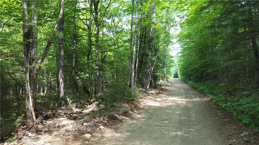 48 South Barbour Road Stow, ME 04037 - Photo 1 of 3 Photo