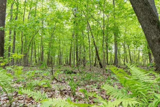 $100,000 | Lot 10-tbd Northeast Rock Lake Road, Rochert, MN 56578