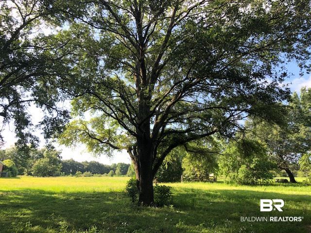 0 Beasley Road Foley, AL 36535 - Photo 6 of 29