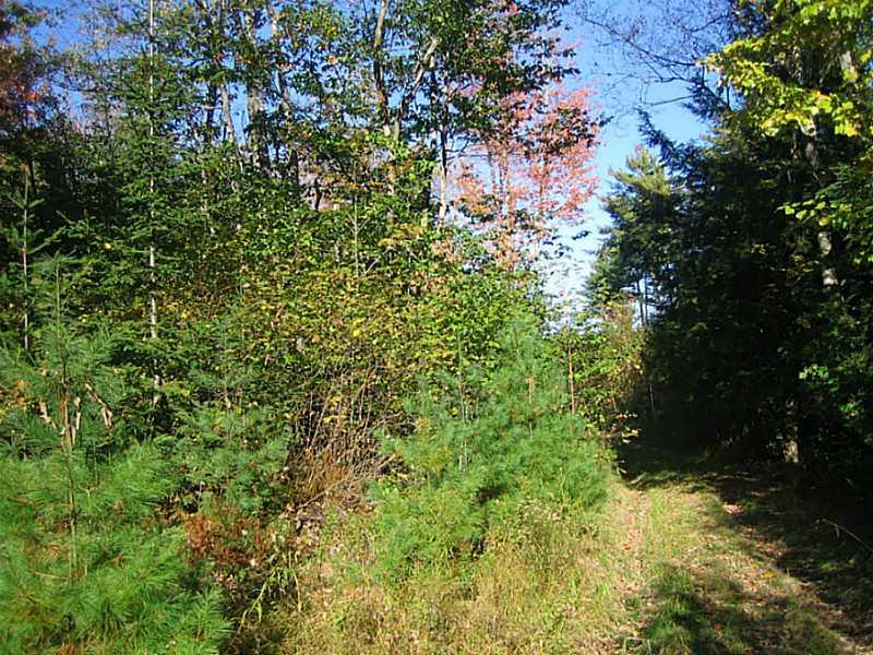 500 Dresser Road Bucksport, ME 04416 - Photo 13 of 28 Land.