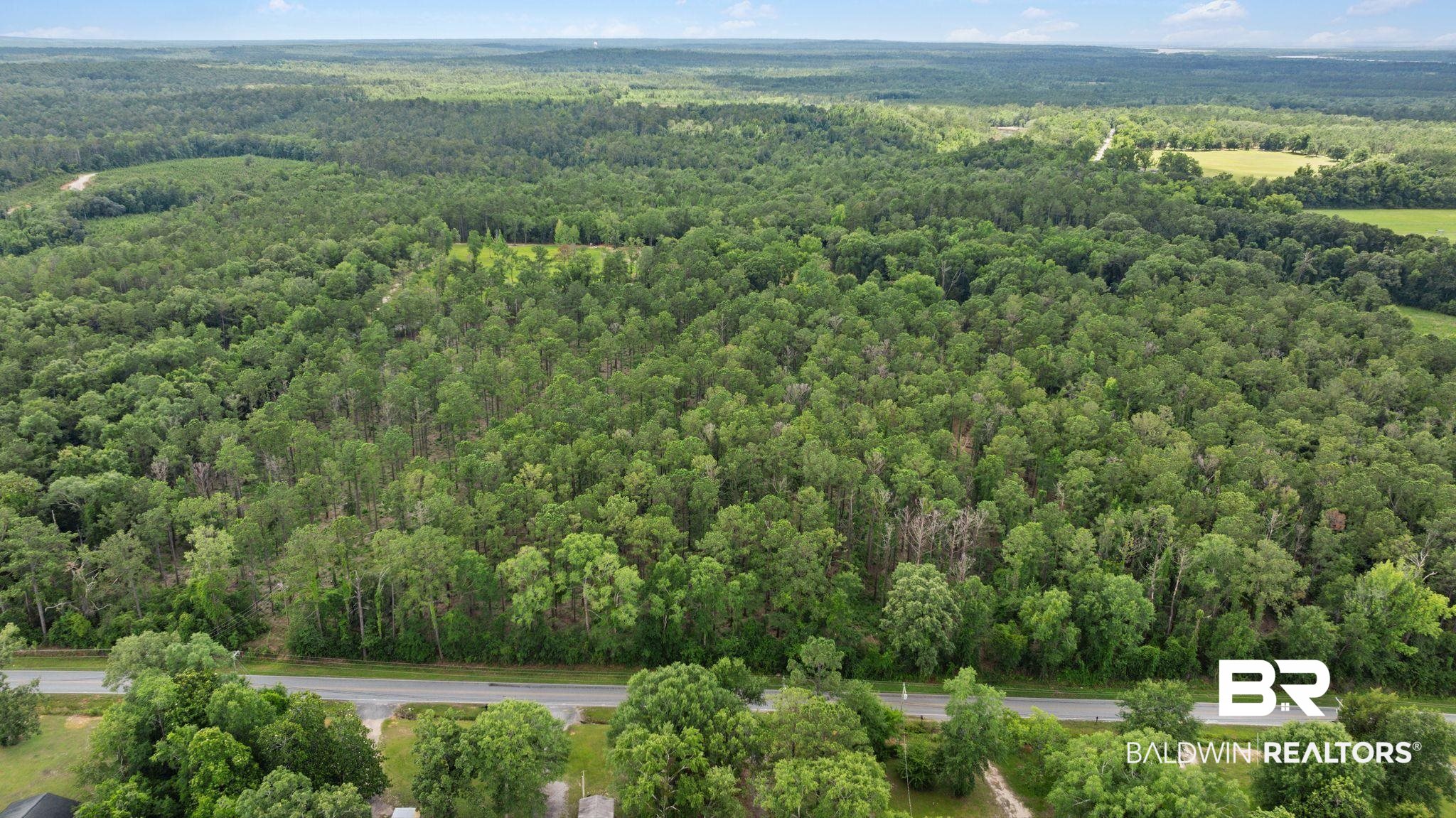 0 Hurricane Road Bay Minette, AL 36507 - Photo 19 of 30