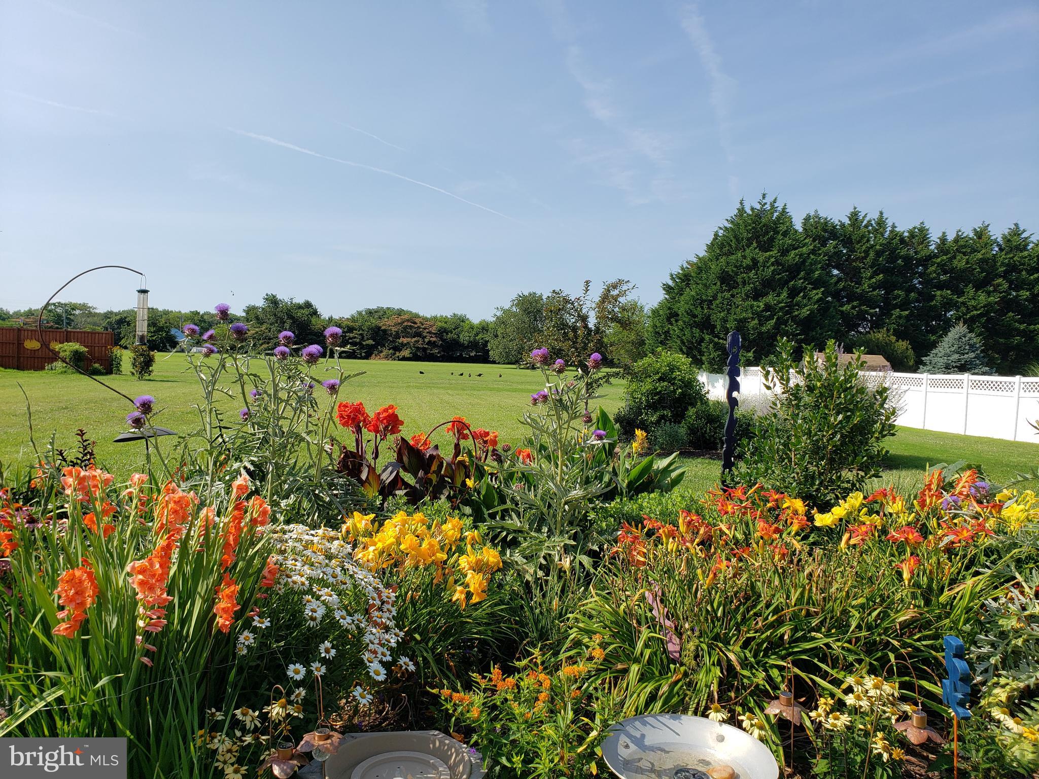 34170 Clay Road Lewes, DE 19958 - Photo 52 of 66 Summer garden