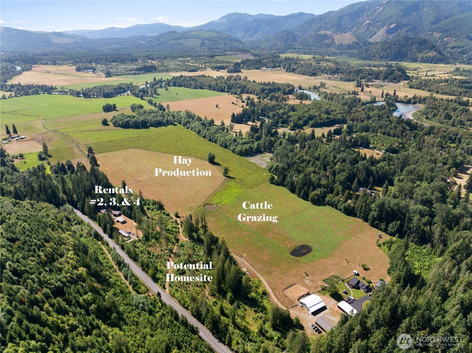 192 Skinner Road Randle, WA 98377 - Photo 3 of 40