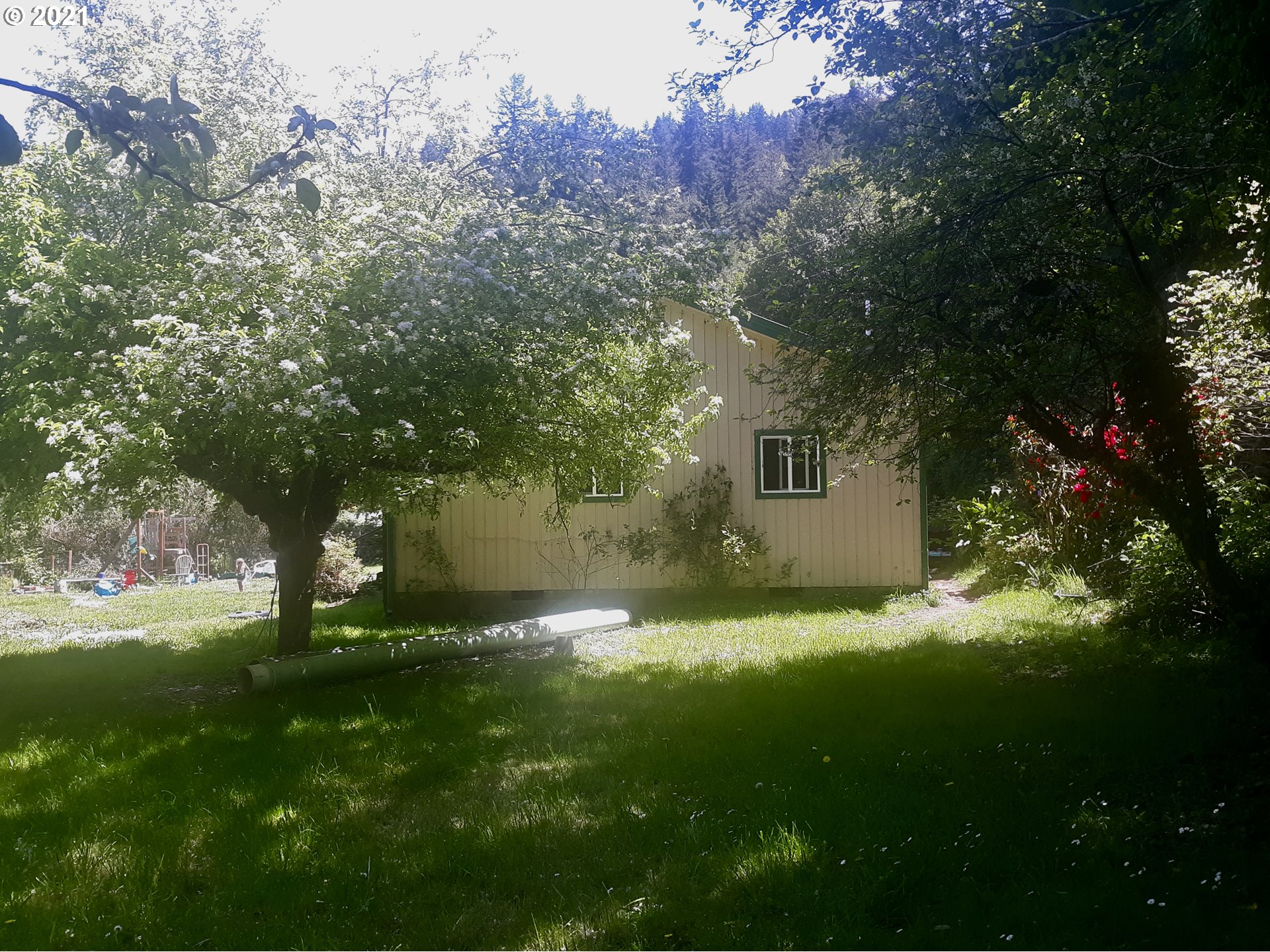 30312 Hummingbird Hill Road Gold Beach, OR 97444 - Photo 2 of 27