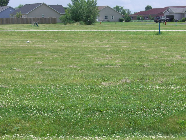 a view of a field with grass