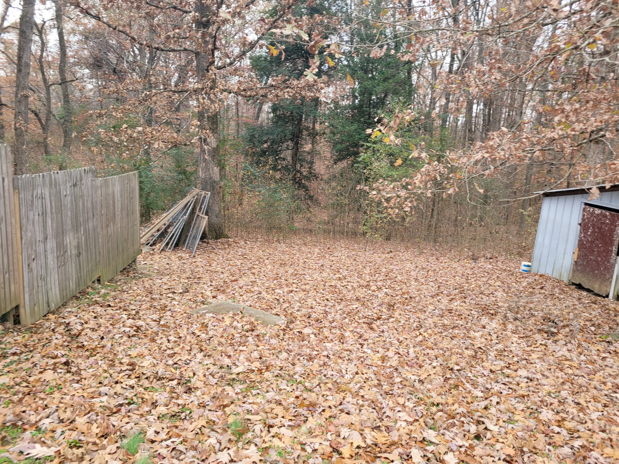 705 Booth McSwain Road Paris, TN 38242 - Photo 34 of 69