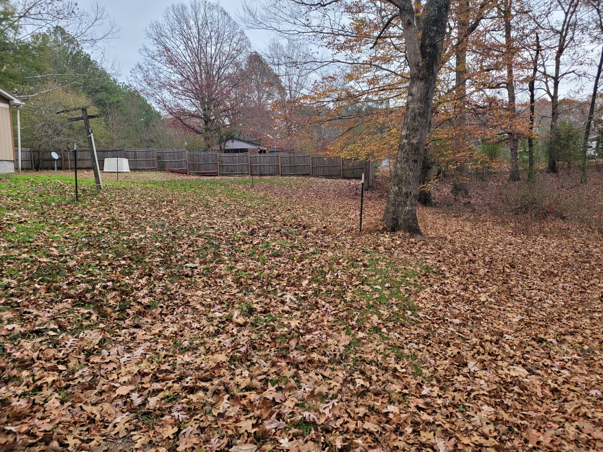 705 Booth McSwain Road Paris, TN 38242 - Photo 45 of 69 a backyard of a house with lots of green space