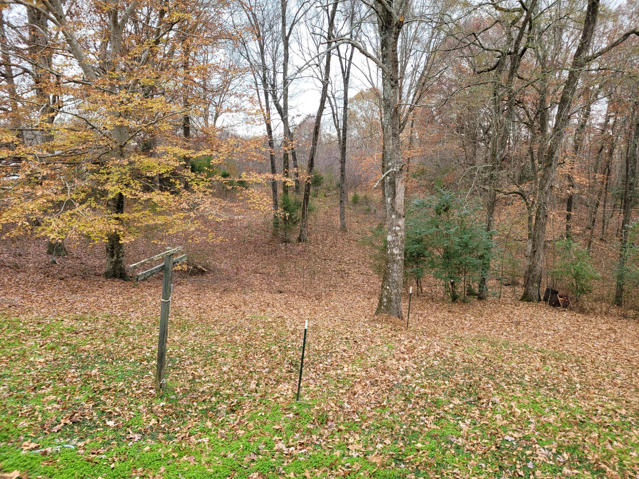 705 Booth McSwain Road Paris, TN 38242 - Photo 69 of 69