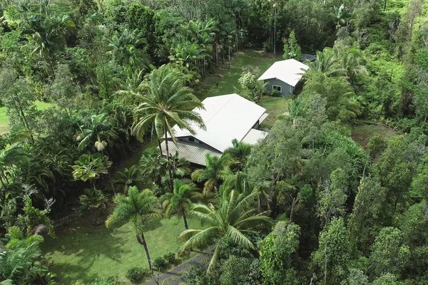 a view of a house in a forest