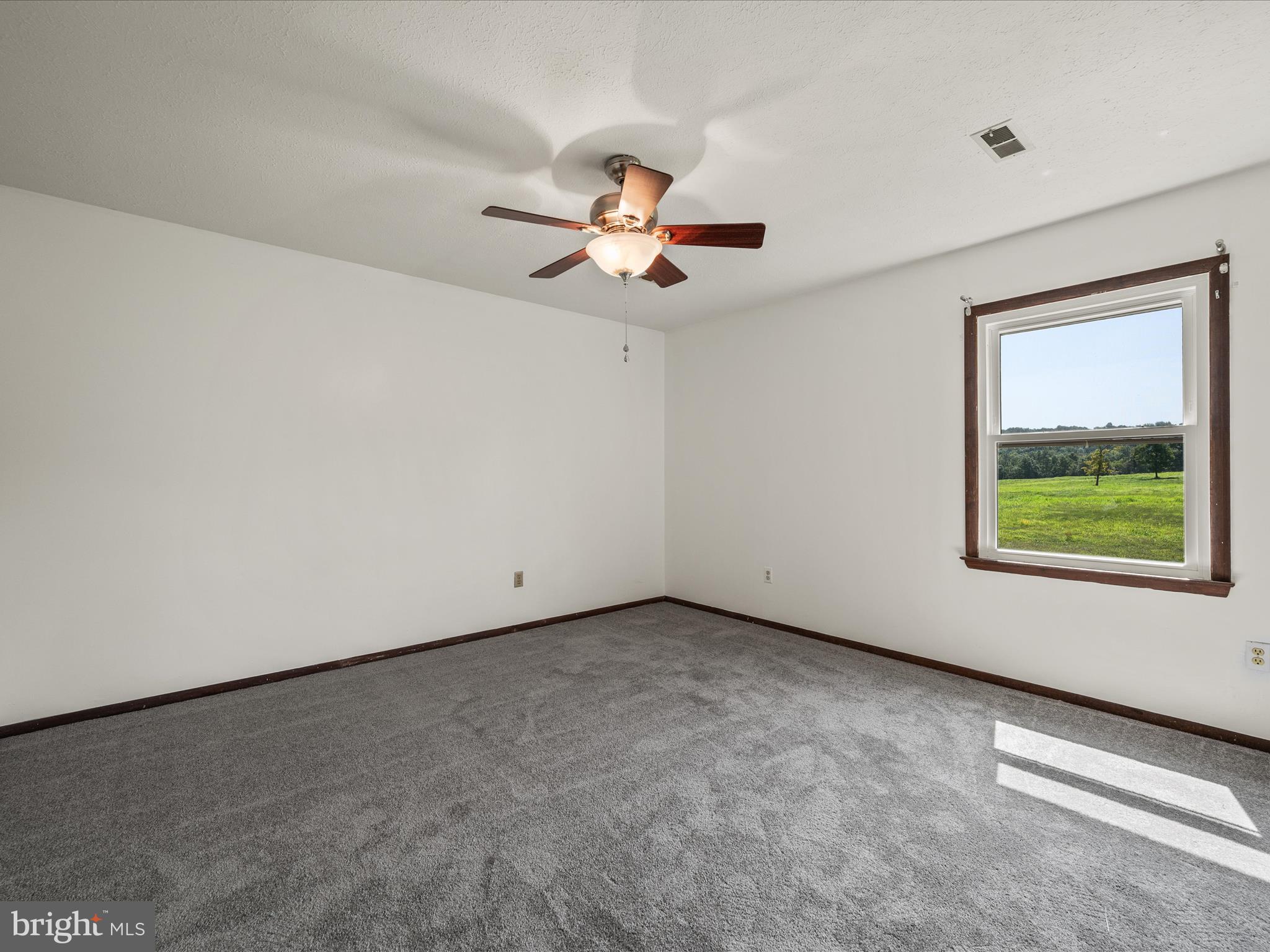 3025 Dominion Road Gerrardstown, WV 25420 - Photo 43 of 83 Bedroom