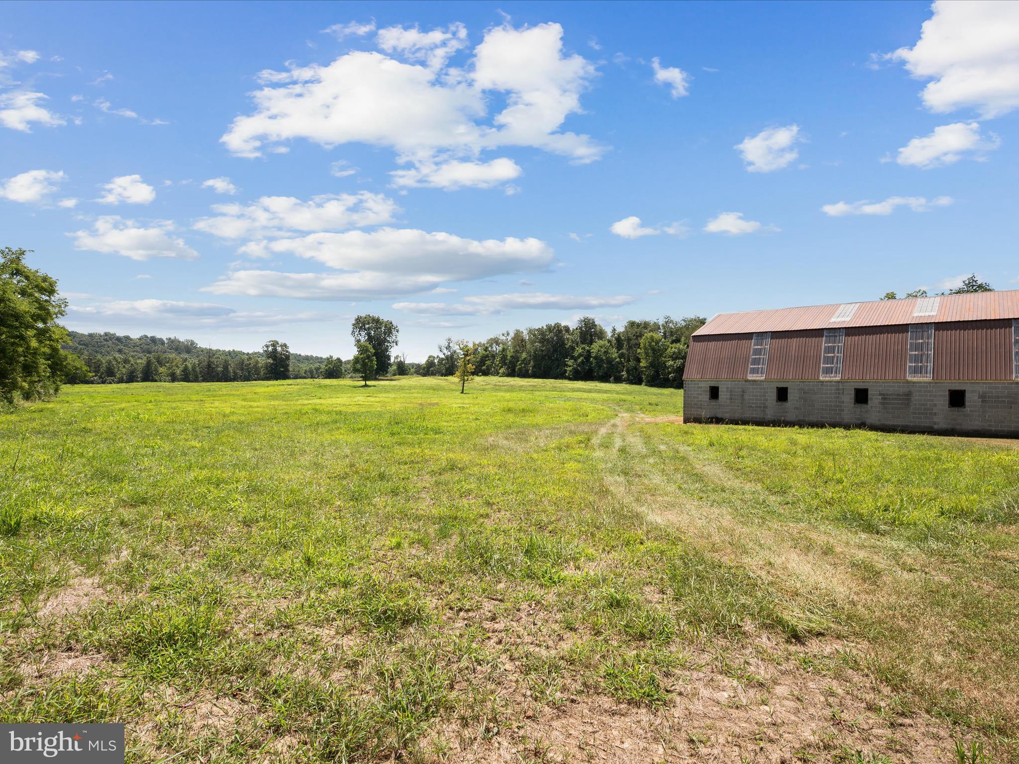 3025 Dominion Road Gerrardstown, WV 25420 - Photo 61 of 83 Backyard