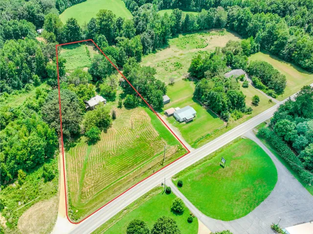 a view of a garden in a backyard