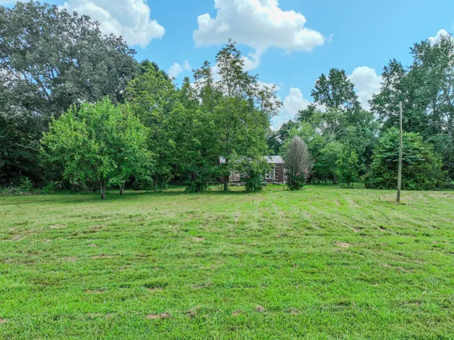 a backyard of a house with lots of green space