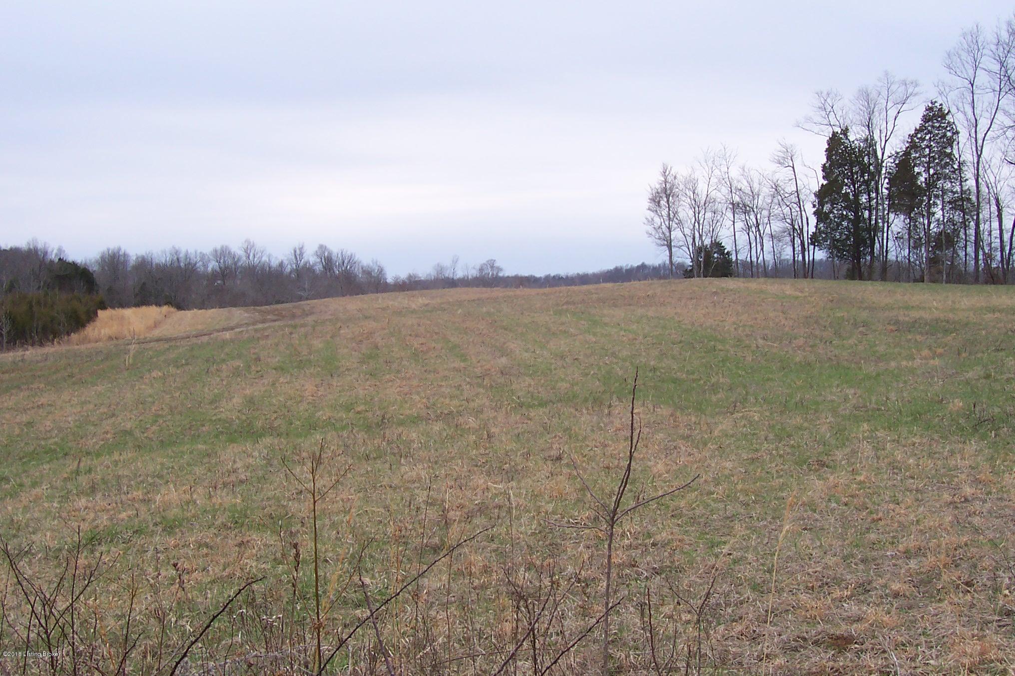 999 Mahurn Cemetery Road Caneyville, KY 42721 - Photo 2 of 12 100_6488