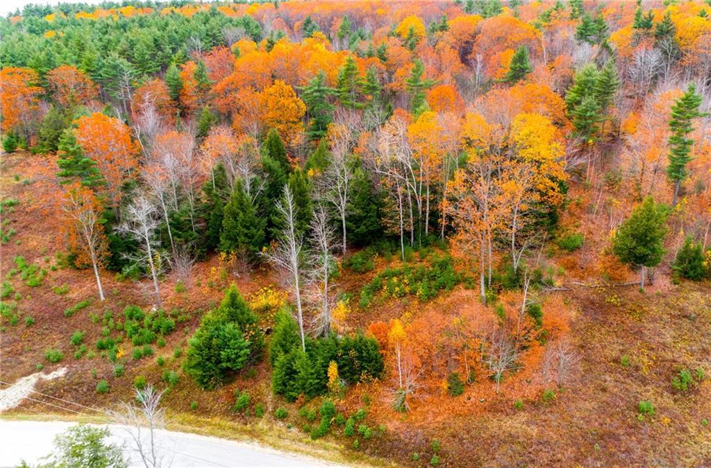 Lot 28 Saunders Road Mechanic Falls, ME 04256 - Photo 10 of 34 Photo