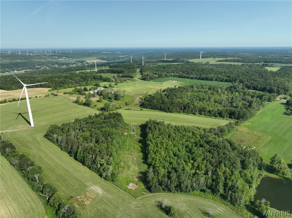 Thomas Road Varysburg, NY 14167 - Photo 12 of 21