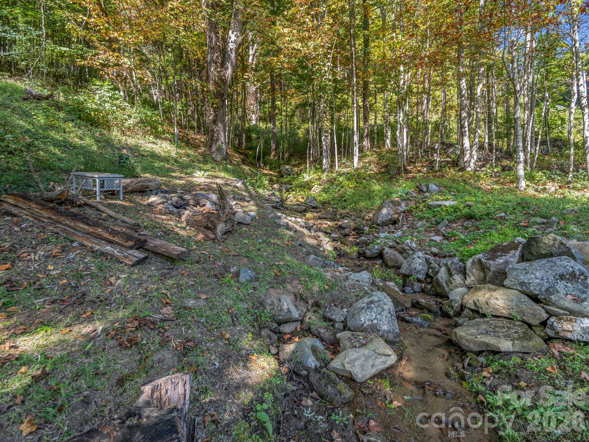 765 Hawk Ridge Lane Marshall, NC 28753 - Photo 8 of 48 Gallery Image 8