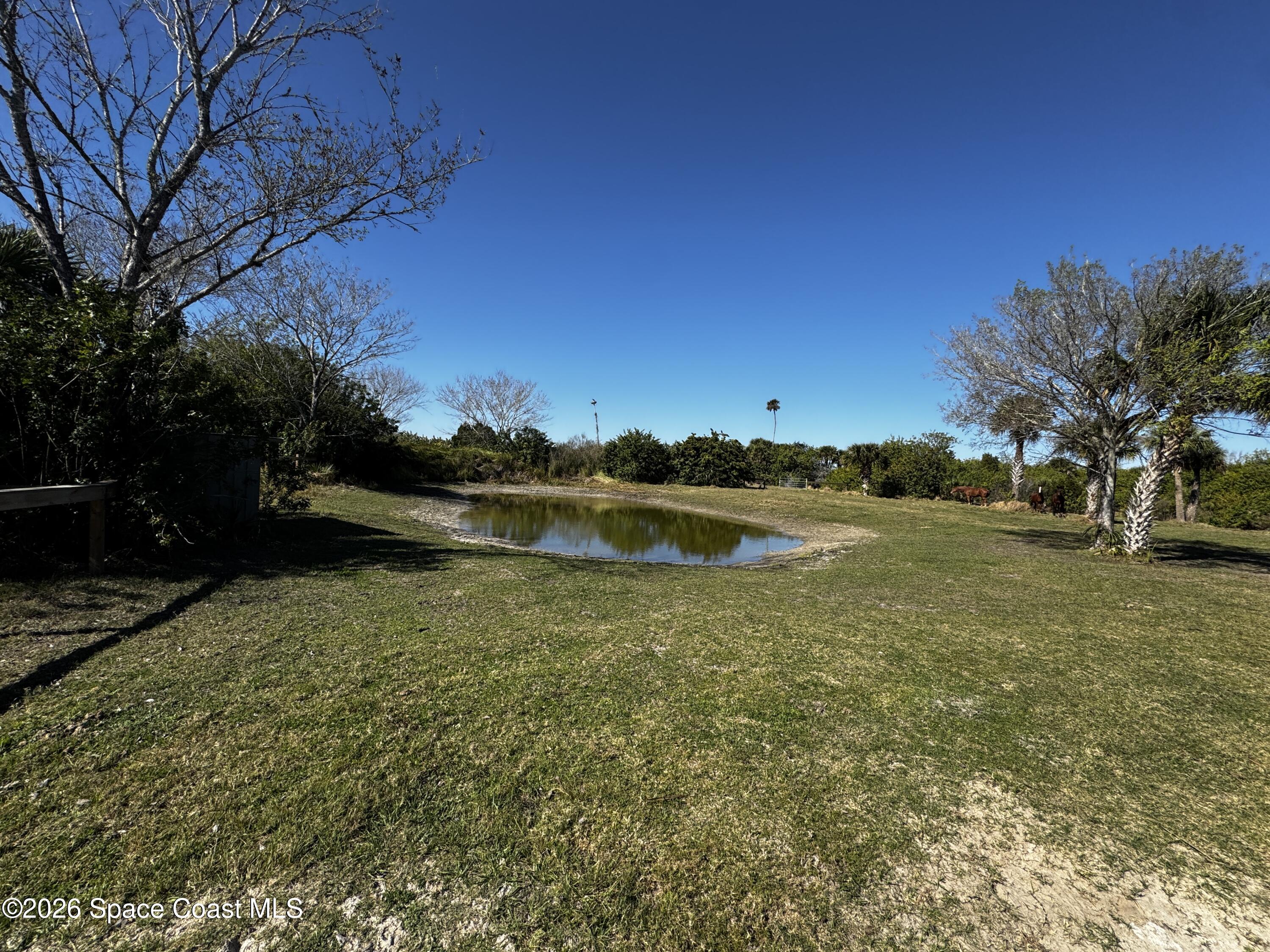 0 Grantline 10 Acres Road Mims, FL 32754 - Photo 15 of 15 IMG_8257